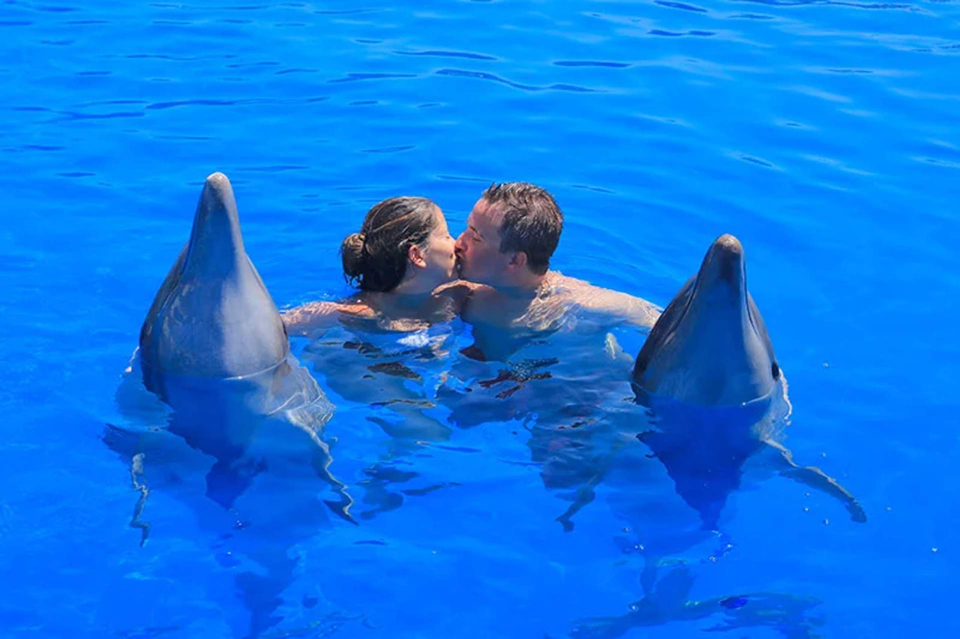 Una pareja se besa mientras nada con dos delfines en aguas claras y azules.