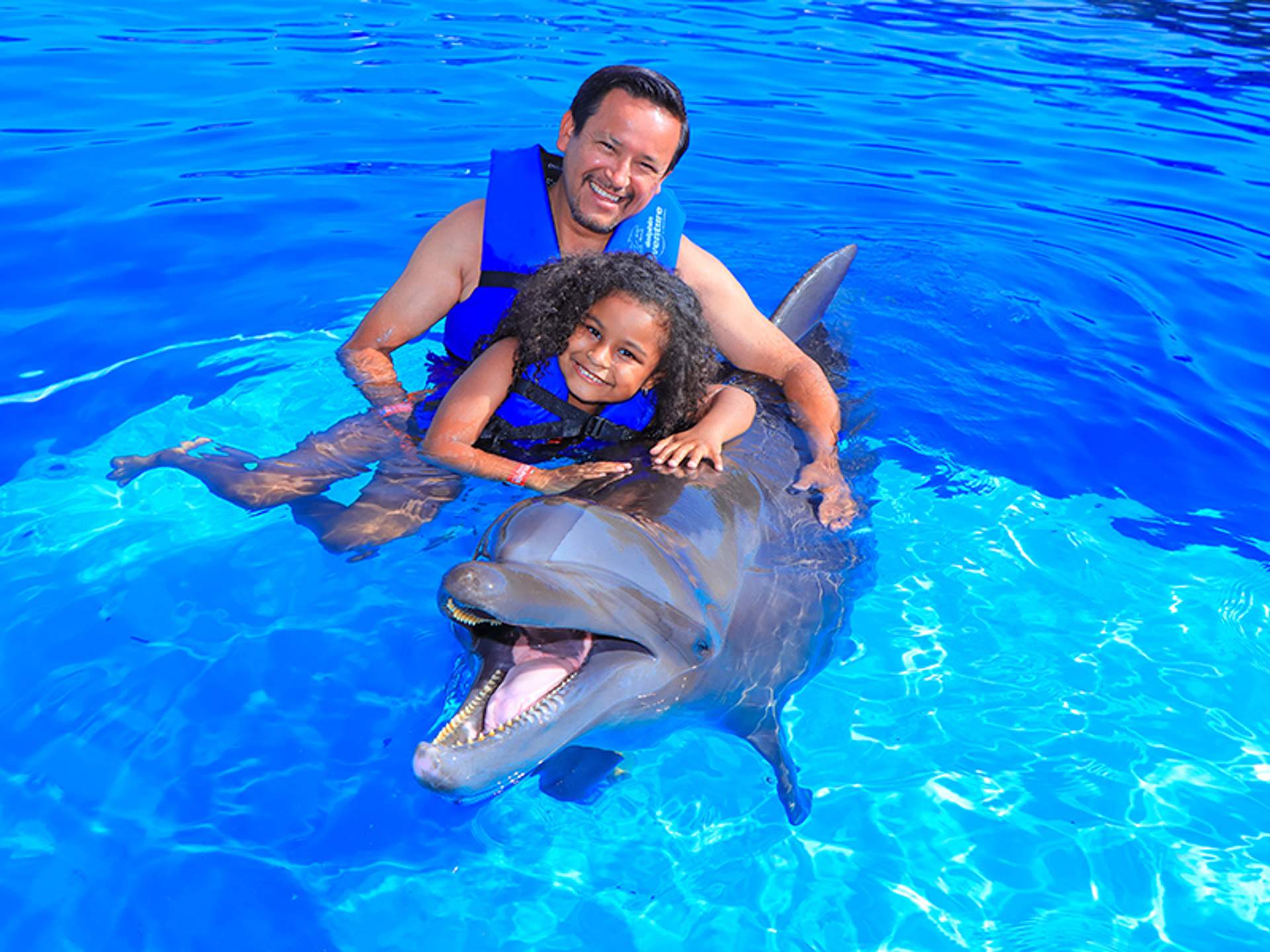 Un hombre y una niña de cabello rizado disfrutan nadando con un delfín en una piscina azul brillante, ambos sonriendo felices.