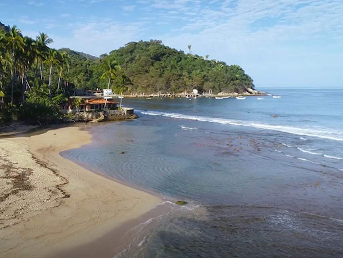 Una escena de playa serena en Quimixto con aguas tranquilas, palmeras y una colina verde exuberante bajo un cielo parcialmente nublado.