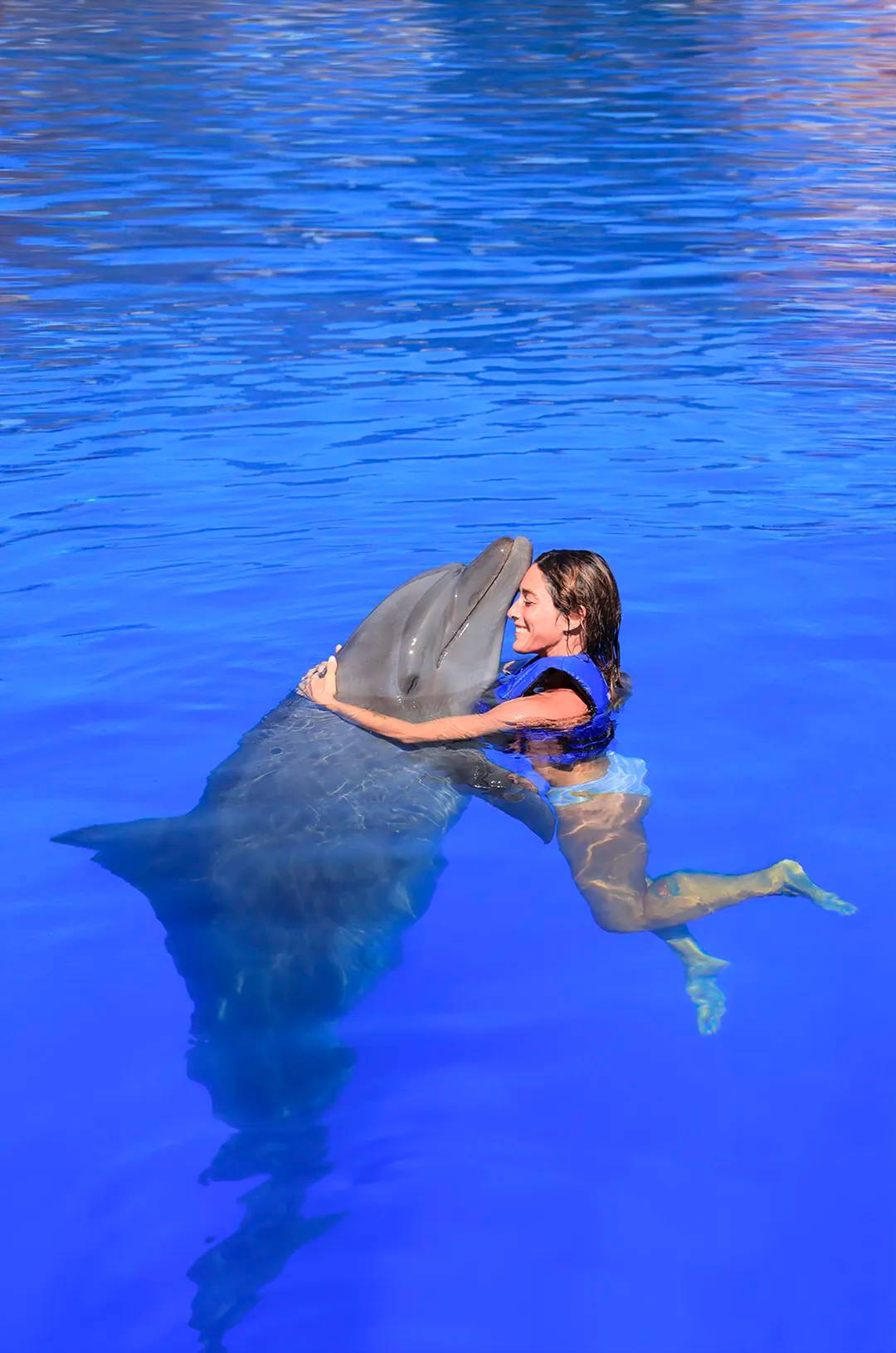 Girl hugging a dolphin on a private experience.