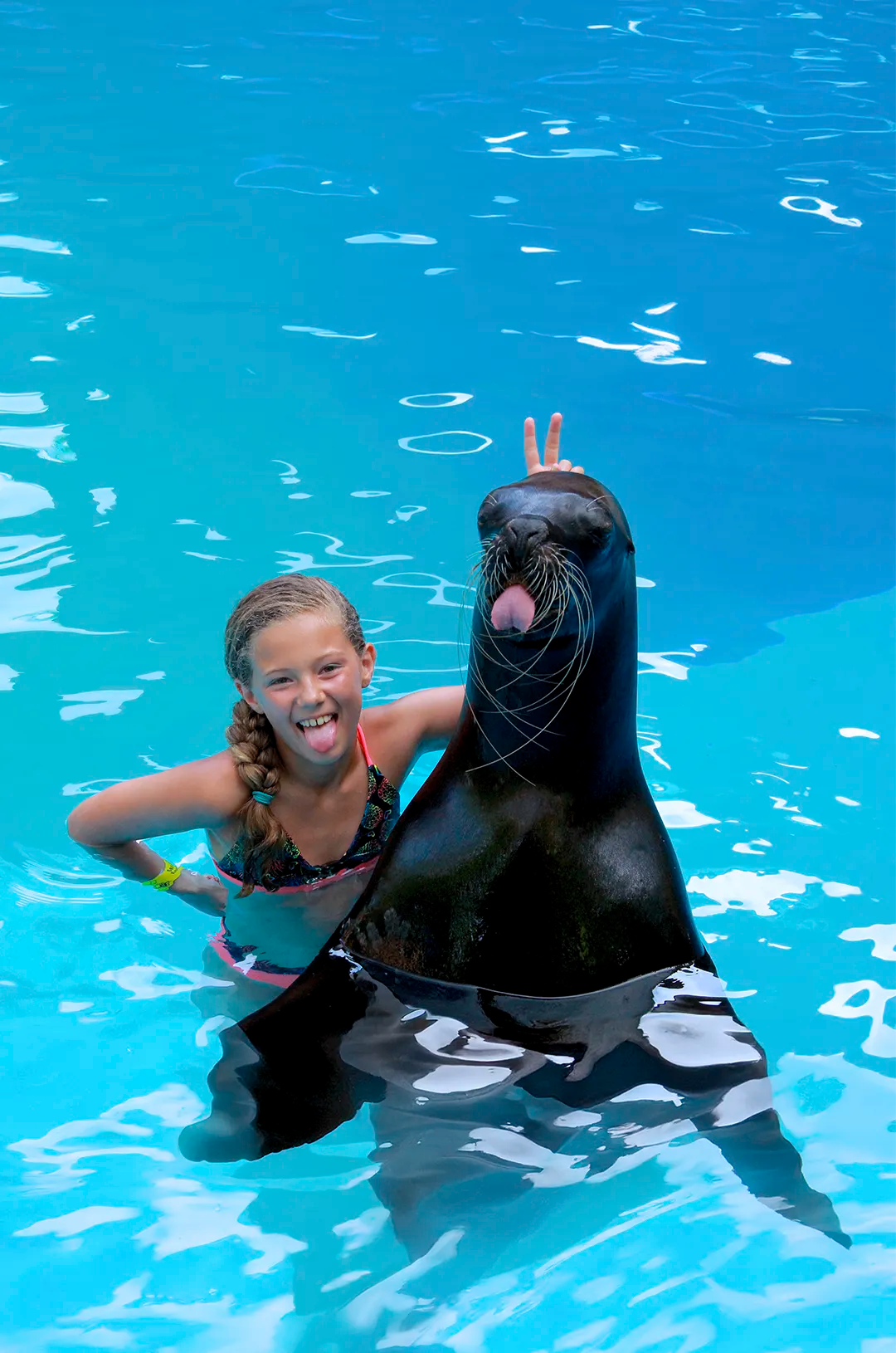 Niña jugando con un logo marino en el mejor Centro de Mamíferos Marinos en Puerto Vallarta.