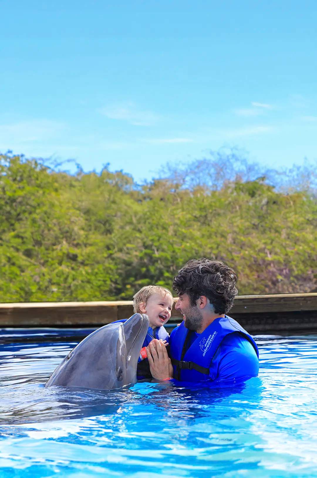 Tiernos momentos de un Encuentro con Delfines en Puerto Vallarta, ideal para familias con niños pequeños.