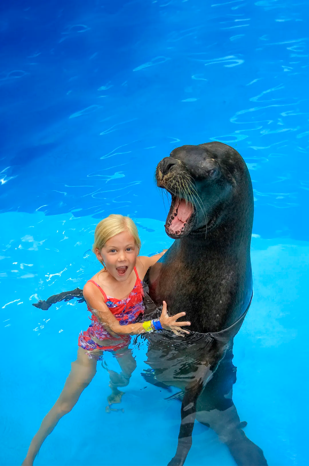 Girl enjoying a sea lion encounter during her Puerto Vallarta vacation.