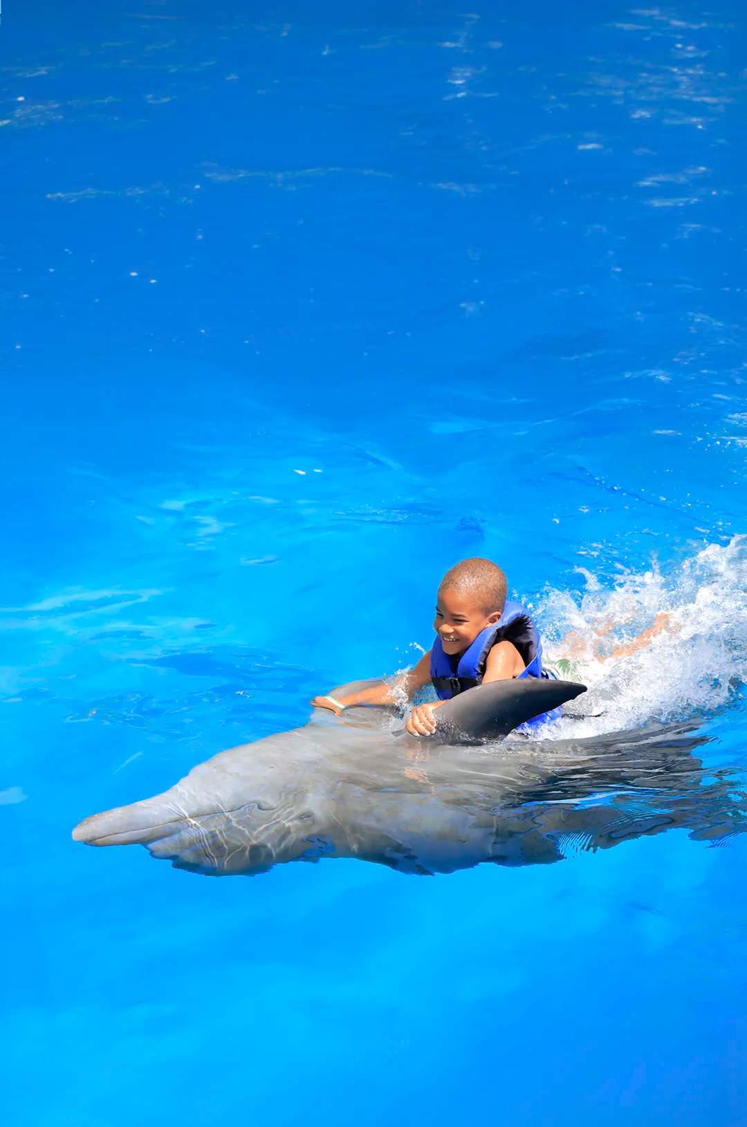 Niño divirtiéndose en un paseo con un delfín en Puerto Vallarta.