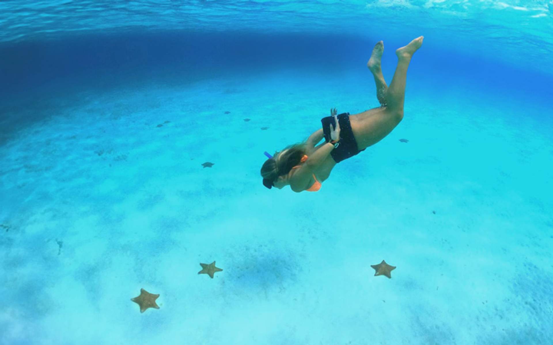 Woman snorkeling above sandy ocean floor with starfish visible.