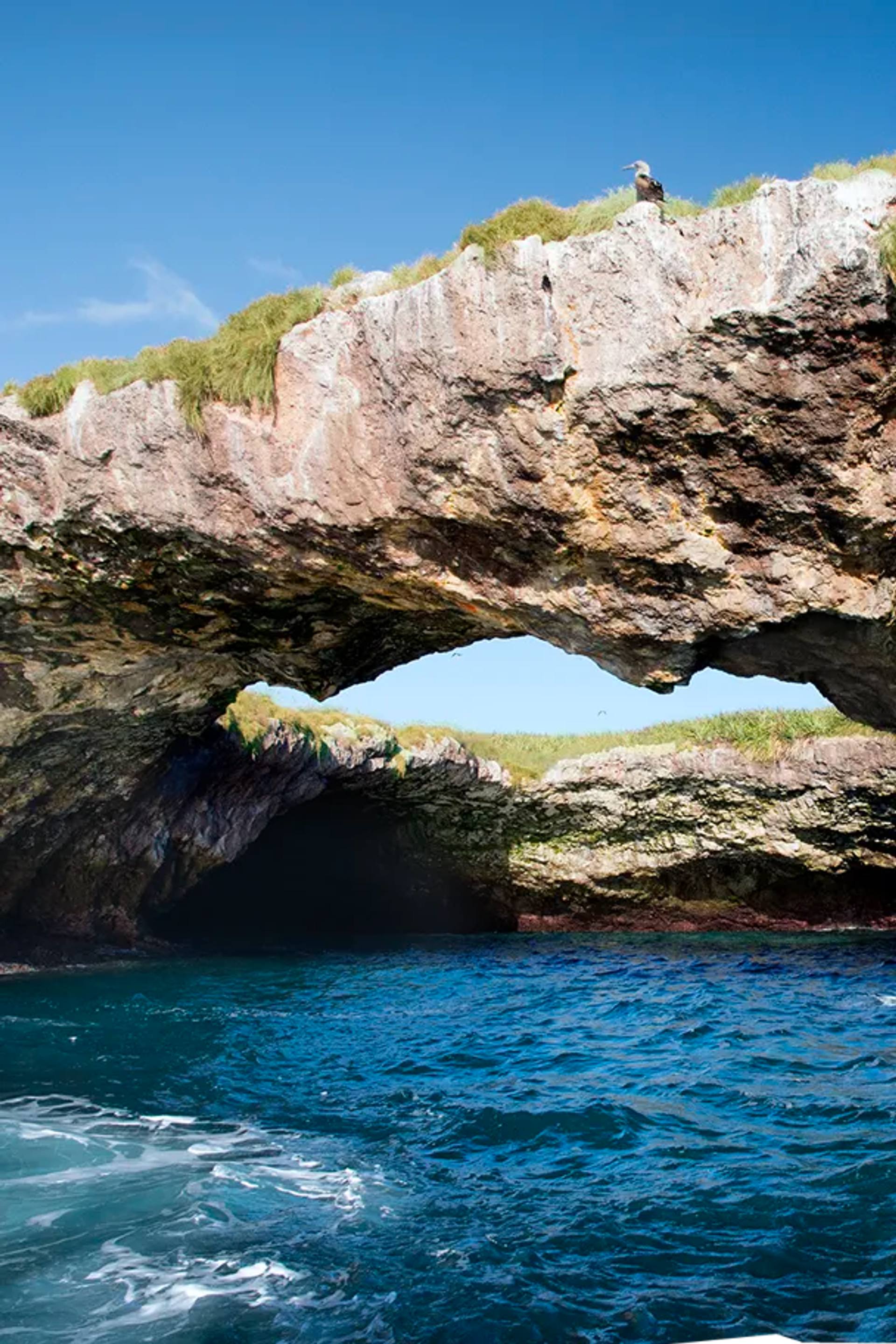 Marietas Islands tours