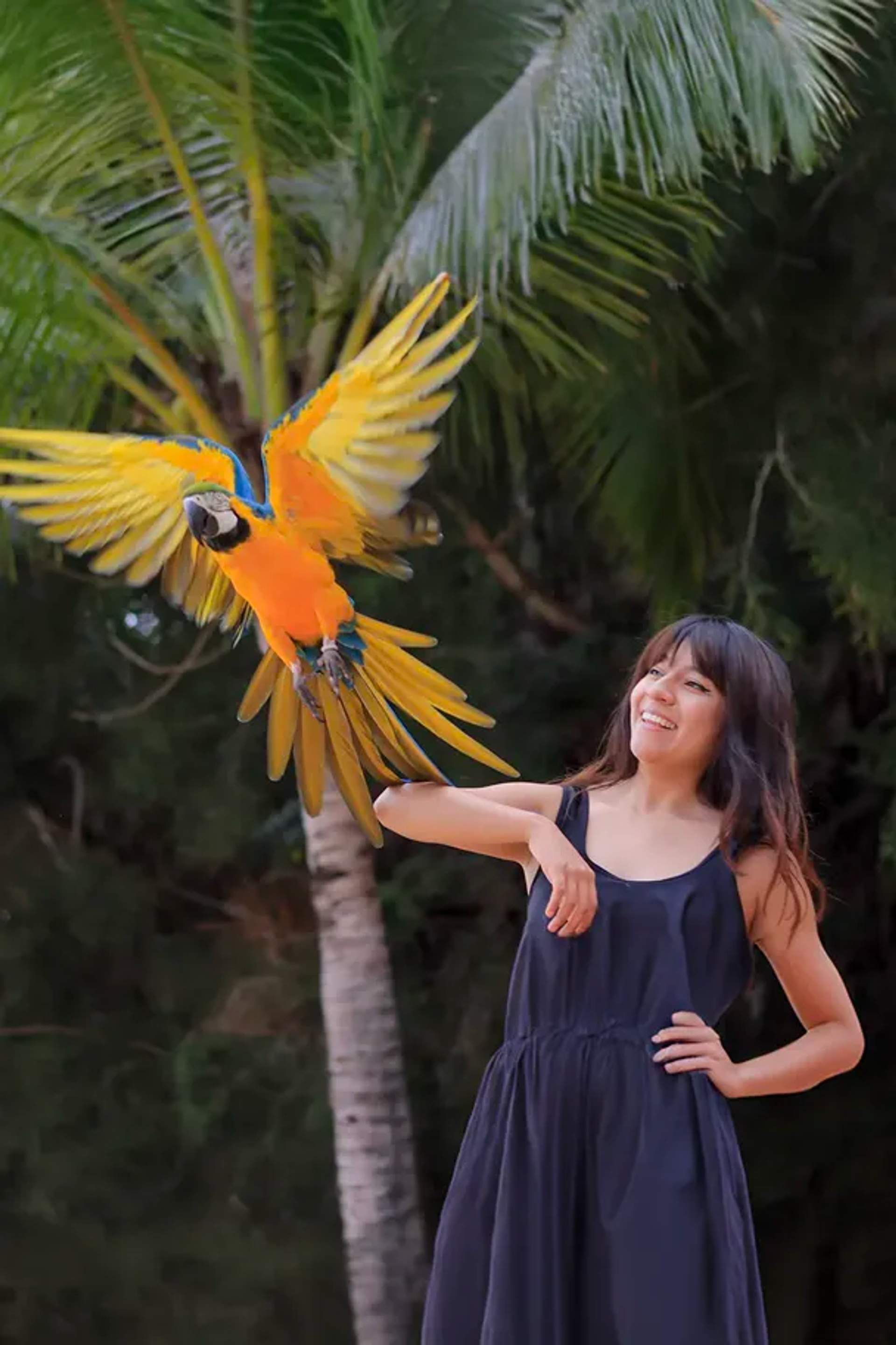 Amazing Animal Encounters in Puerto Vallarta.