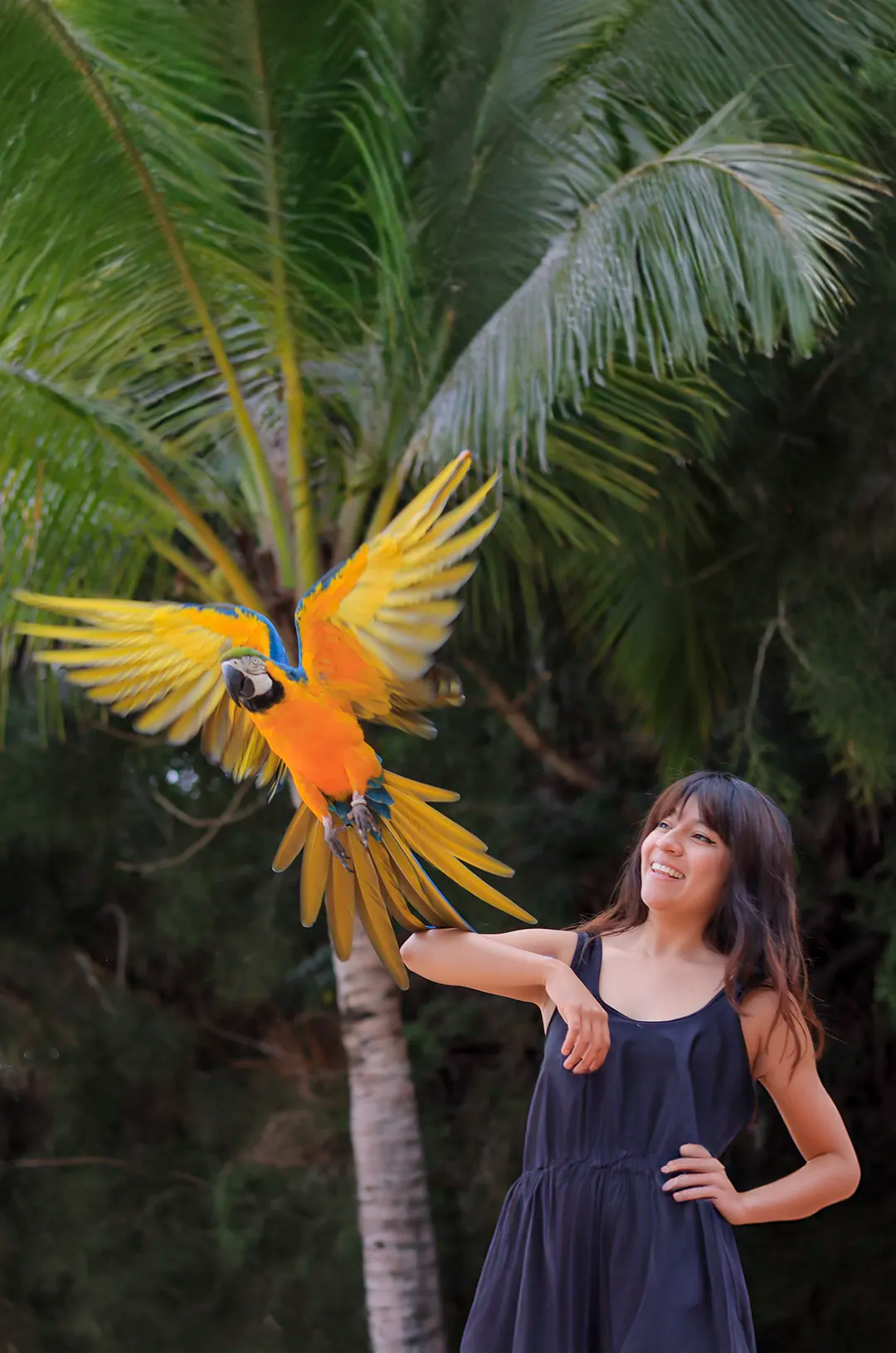 A girl smiles as a colorful macaw takes flight near her at Las Caletas, Puerto Vallarta.