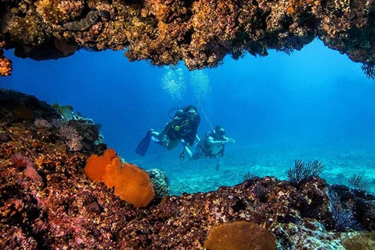 Dos buceadores explorando un vibrante arrecife de coral a través de una cueva submarina en las aguas claras de Puerto Vallarta.