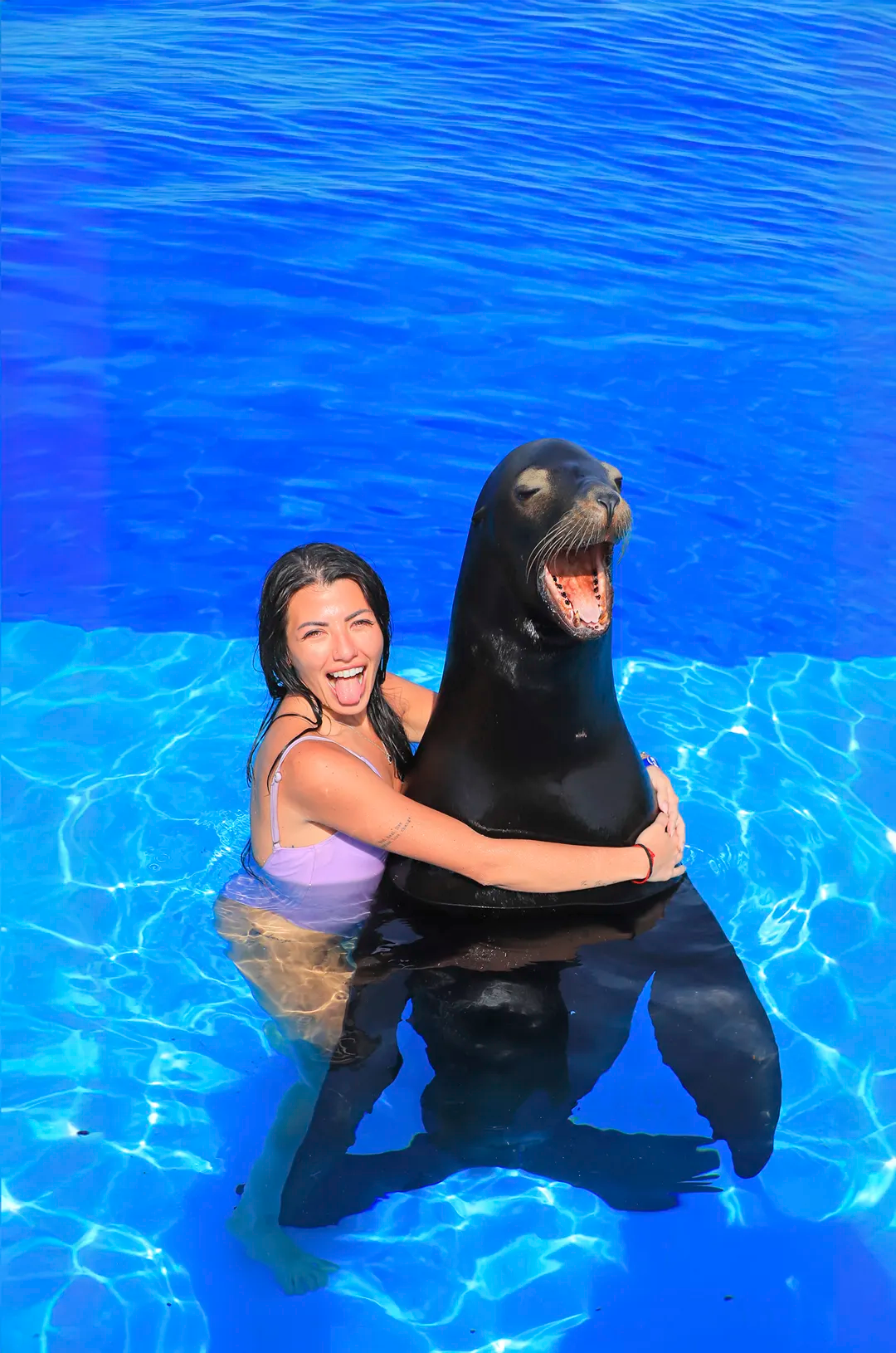 Chica feliz abrazando un lobo marino en Puerto Vallarta en el Centro de Mamíferos Marinos de Vallarta Adventures.