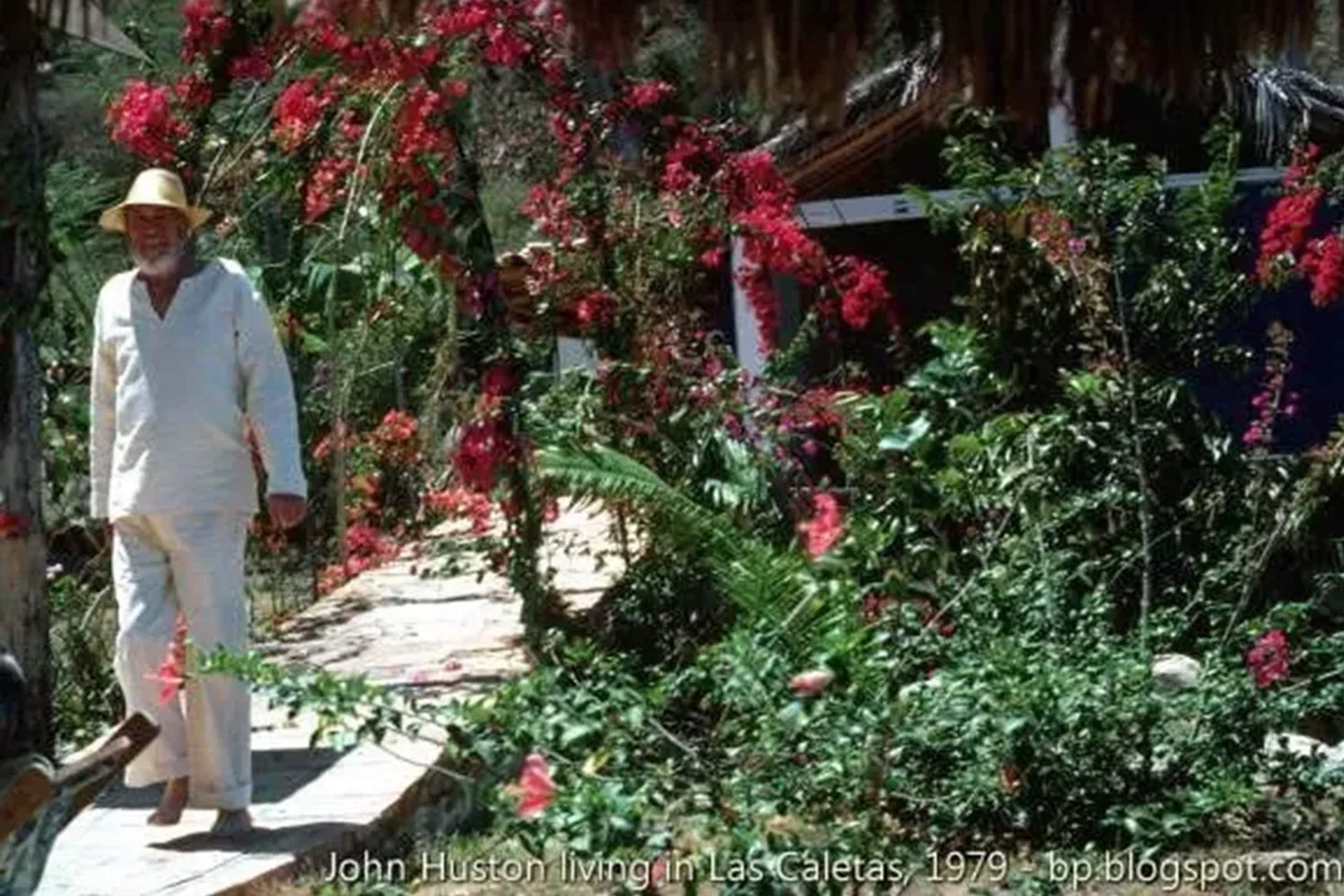 John Huston walks through lush gardens in Las Caletas, 1979, surrounded by vibrant bougainvillea.