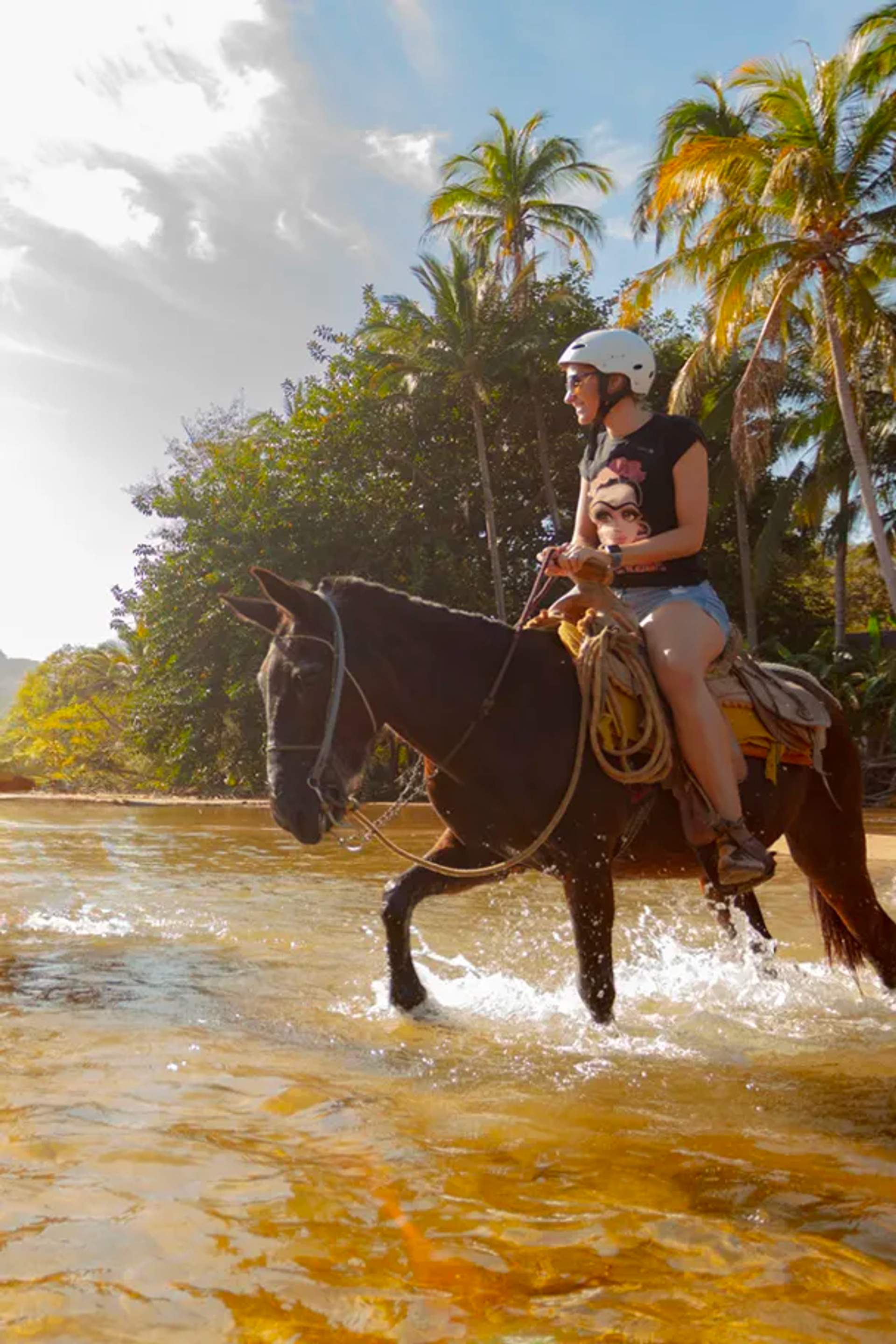 Embark in some of the best Puerto Vallarta Ecotourism Trips.