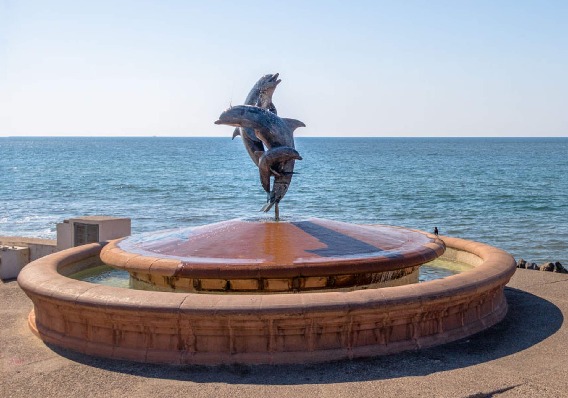 Una fuente con una escultura de delfines junto al mar, con tres delfines saltando del agua en una base circular de piedra. El océano azul claro se extiende hasta el horizonte bajo un cielo brillante.