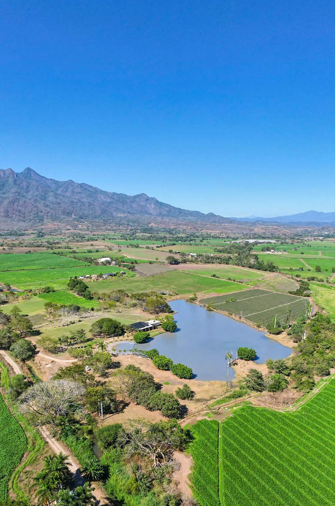 Rural areas near Puerto Vallarta visited during the Pueblos walking tour.