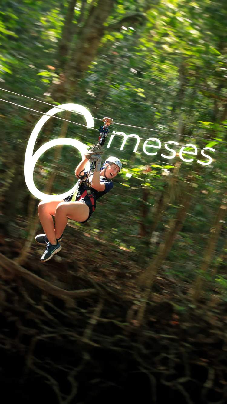 Paga tus tours en Puerto Vallarta a 6 meses sin intereses.