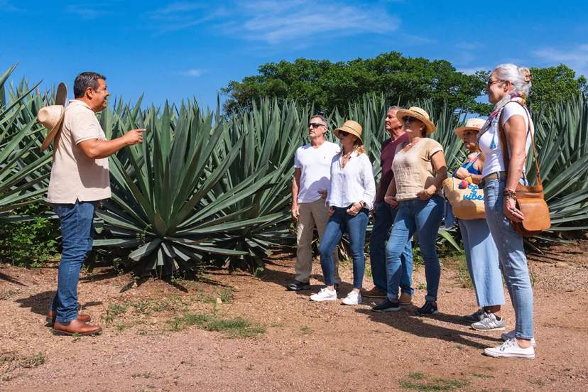 Tourists at an agave plantation in San Sebastián del Oeste, listening to a local guide.