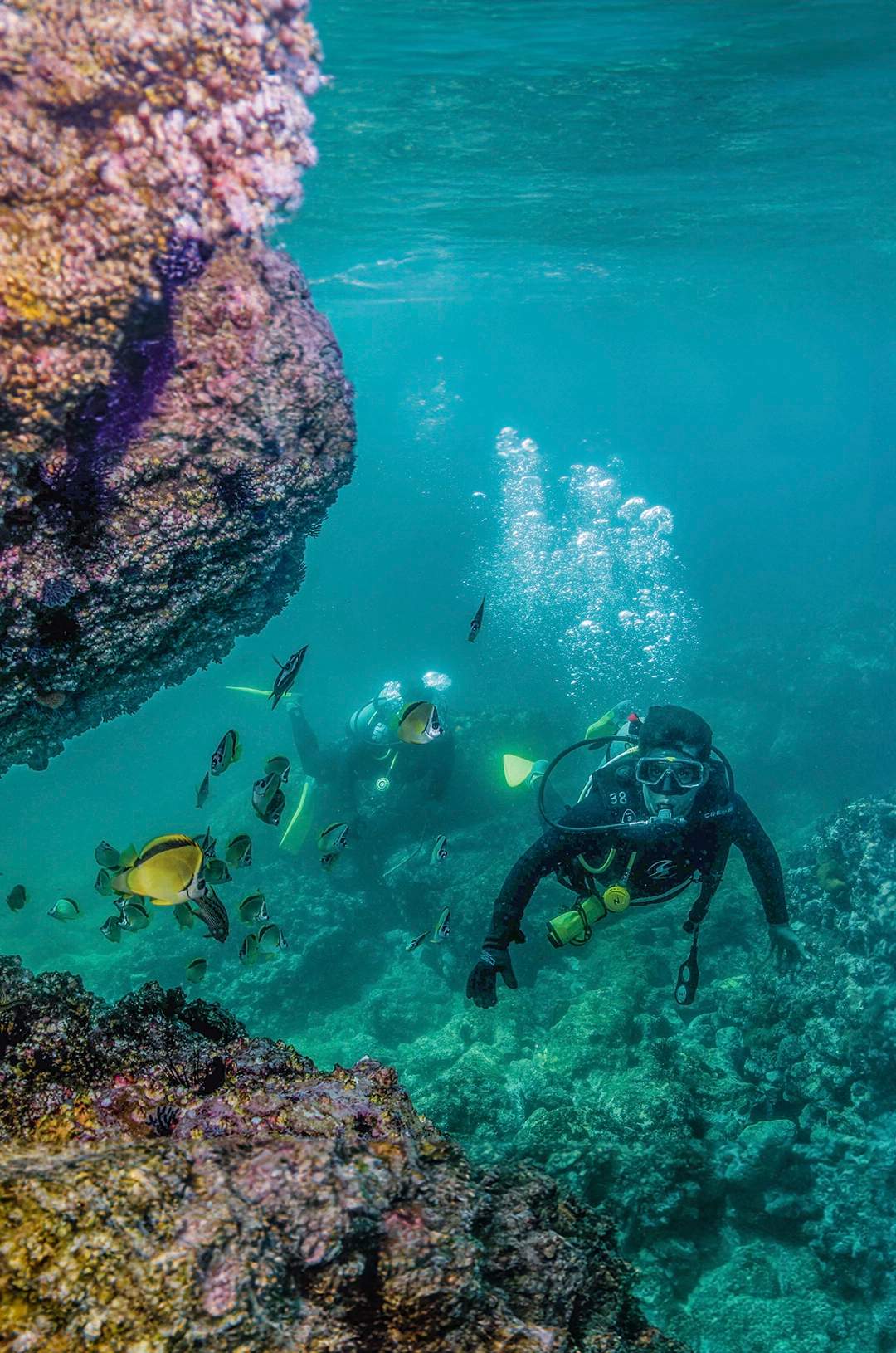 Rock diving, exclusive to Certified Divers, at Chimo Puerto Vallarta.