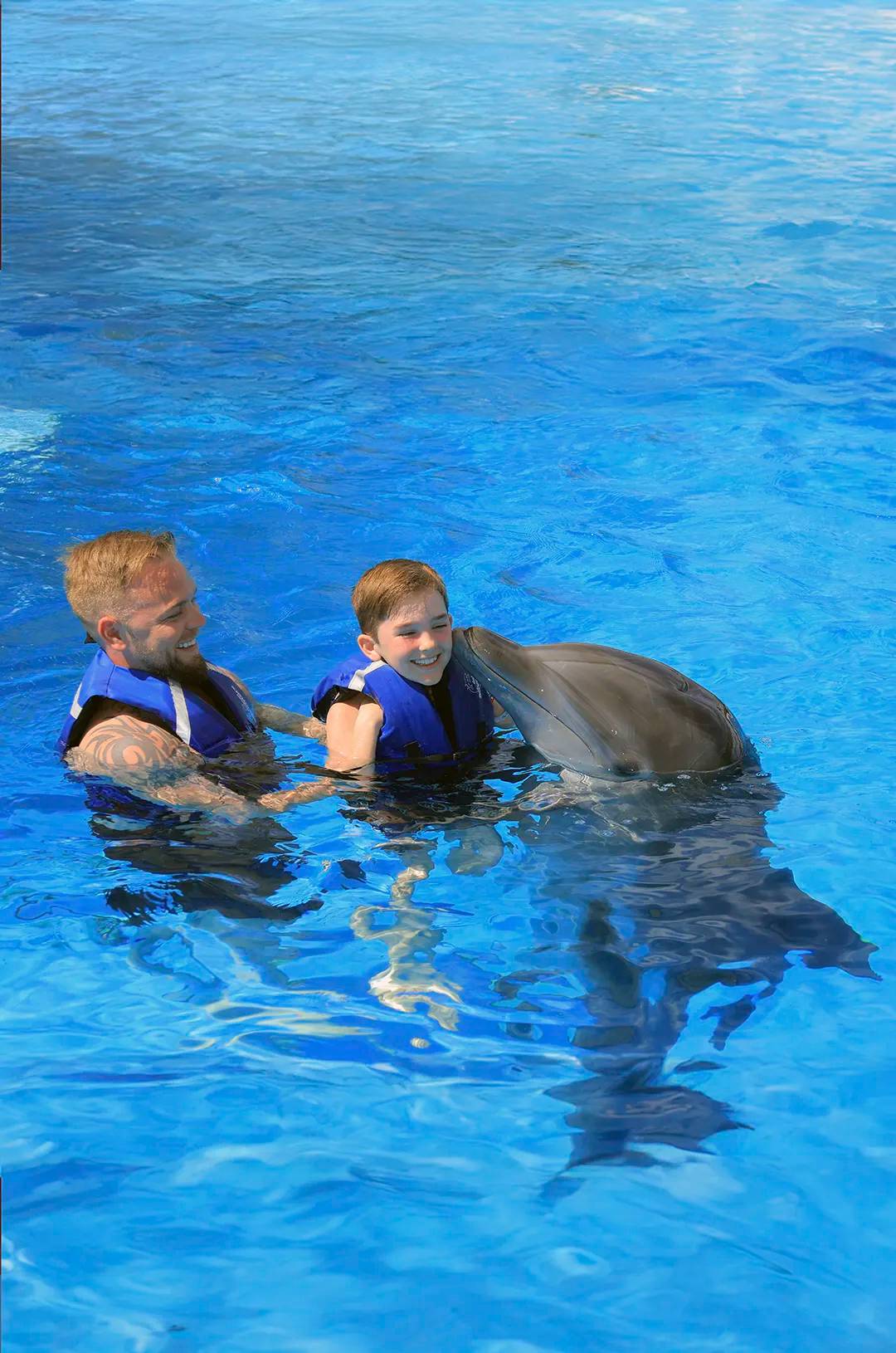 Puerto Vallarta Swim with dolphins for families.