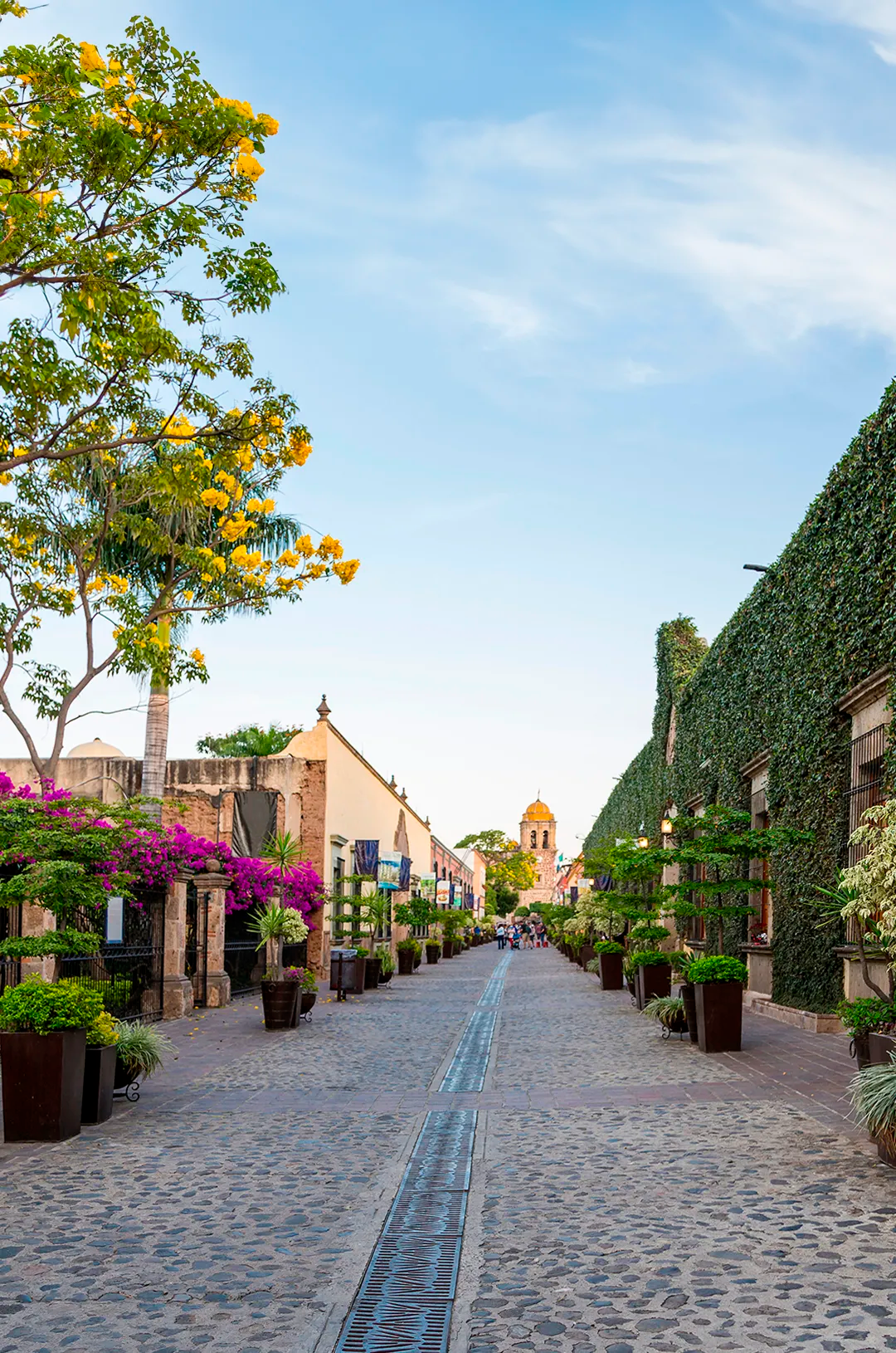 Charming cobblestone street at Tequila Jalisco.