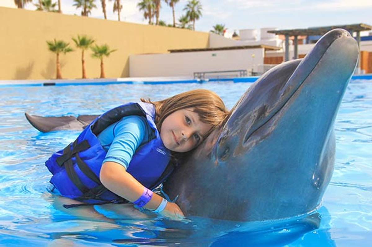 A child in a life vest hugging a dolphin in a pool, enjoying a close encounter at a dolphin center.