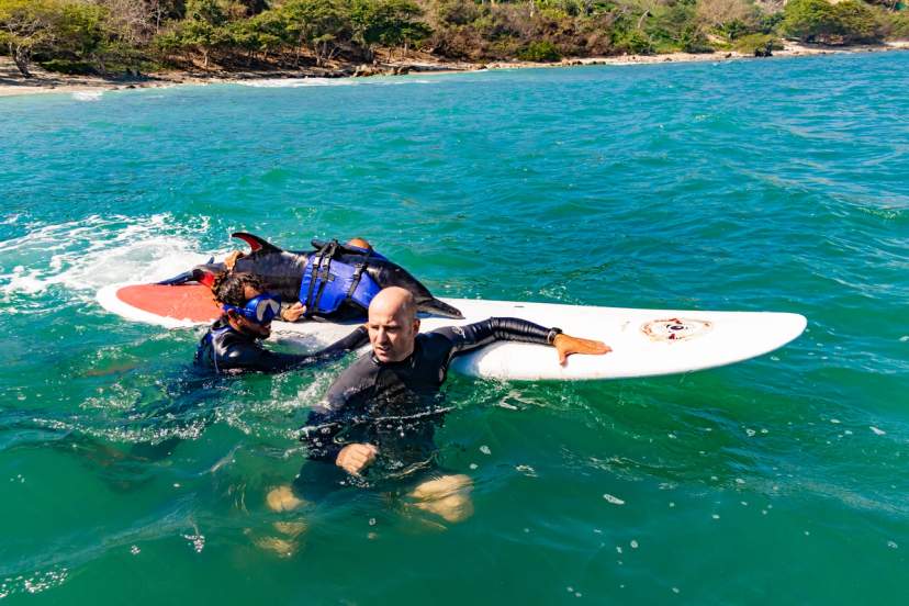 Rescuer on raft by whale tail during disentanglement at sea
