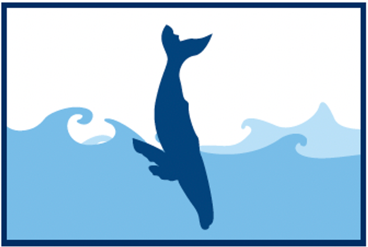  Ilustración de una ballena jorobada saltando fuera del agua, mostrando un comportamiento acrobático.