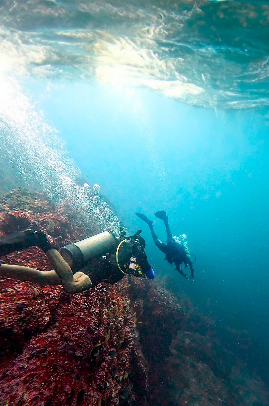 Buzos certificados en un viaje de Buceo Privado en La Corbeteña.