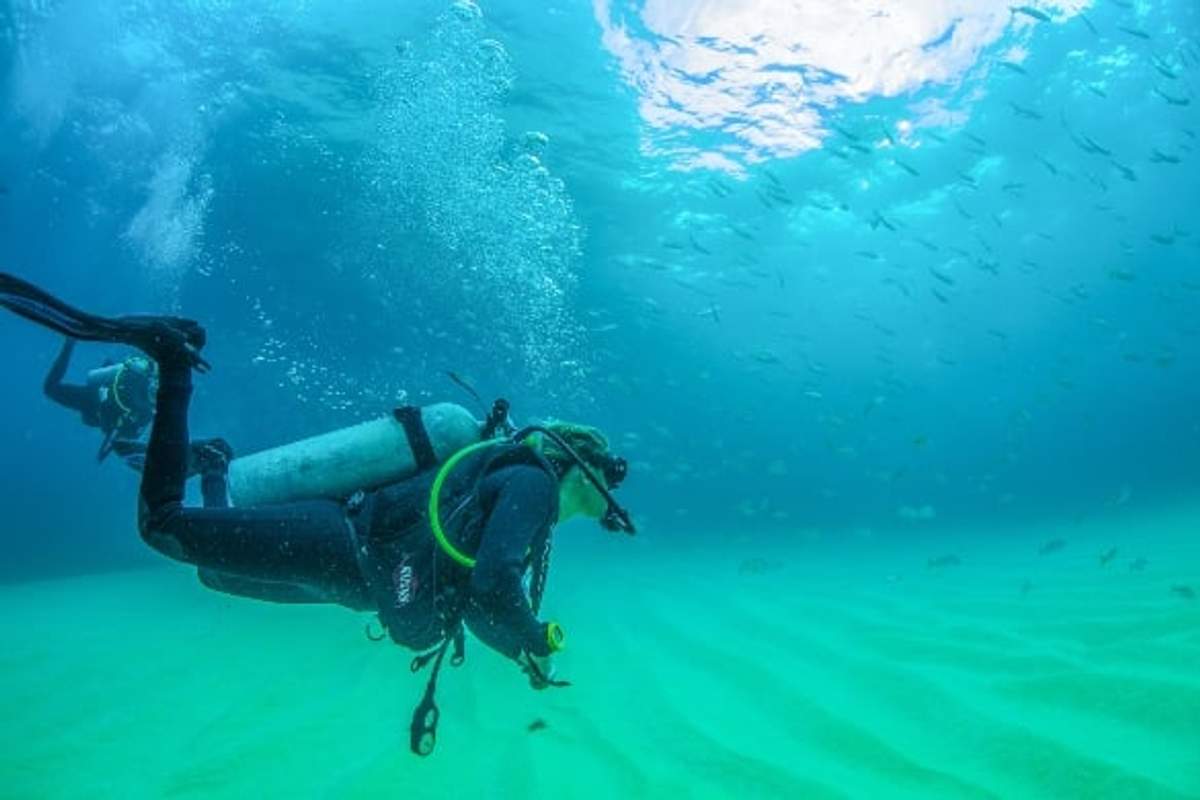 Two scuba divers explore the clear waters and sandy ocean floor, surrounded by schools of fish.