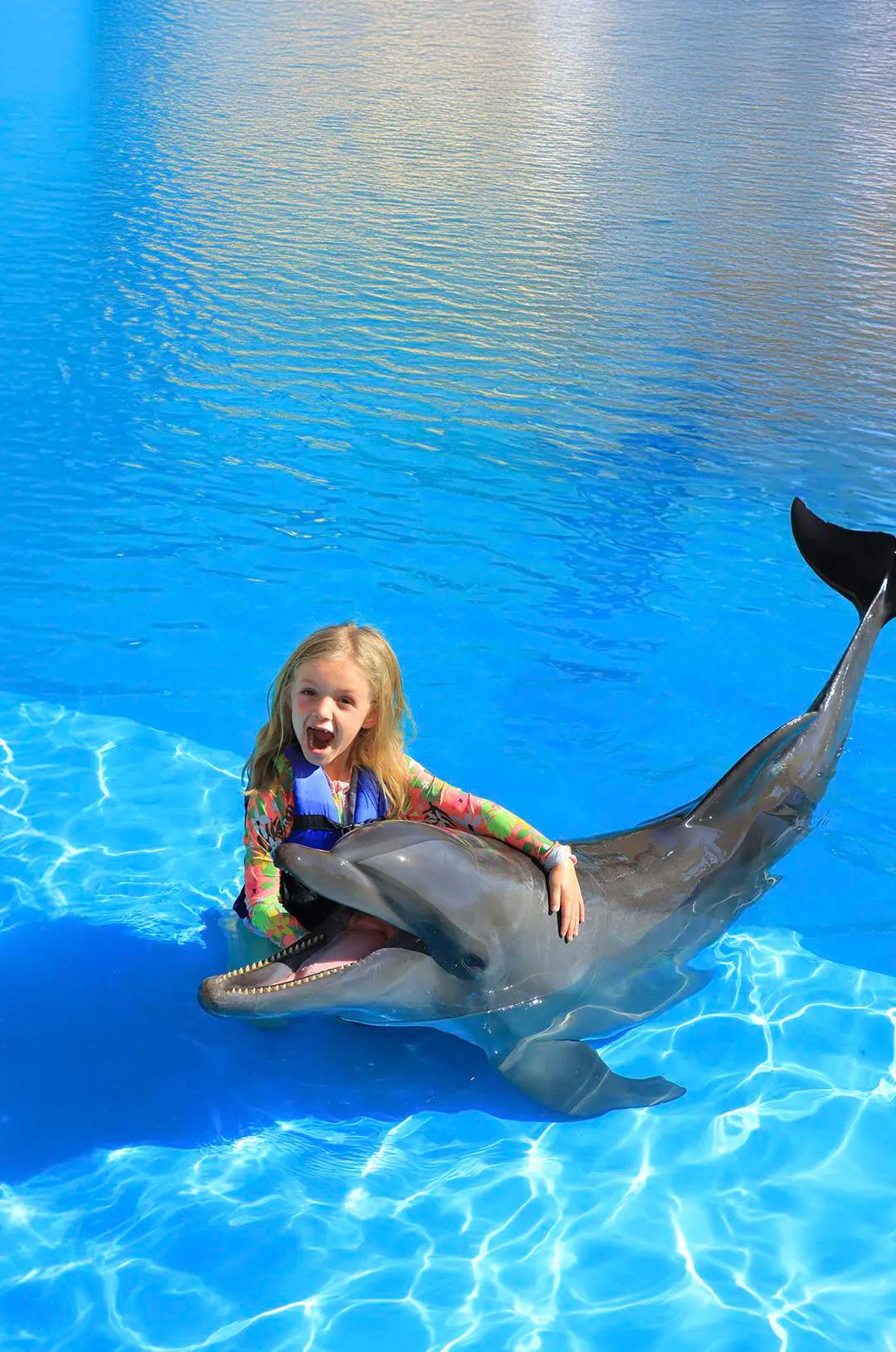Niña disfrutando un encuentro con delfines para niños, una de las mejores cosas para hacer con niños en Puerto Vallarta.