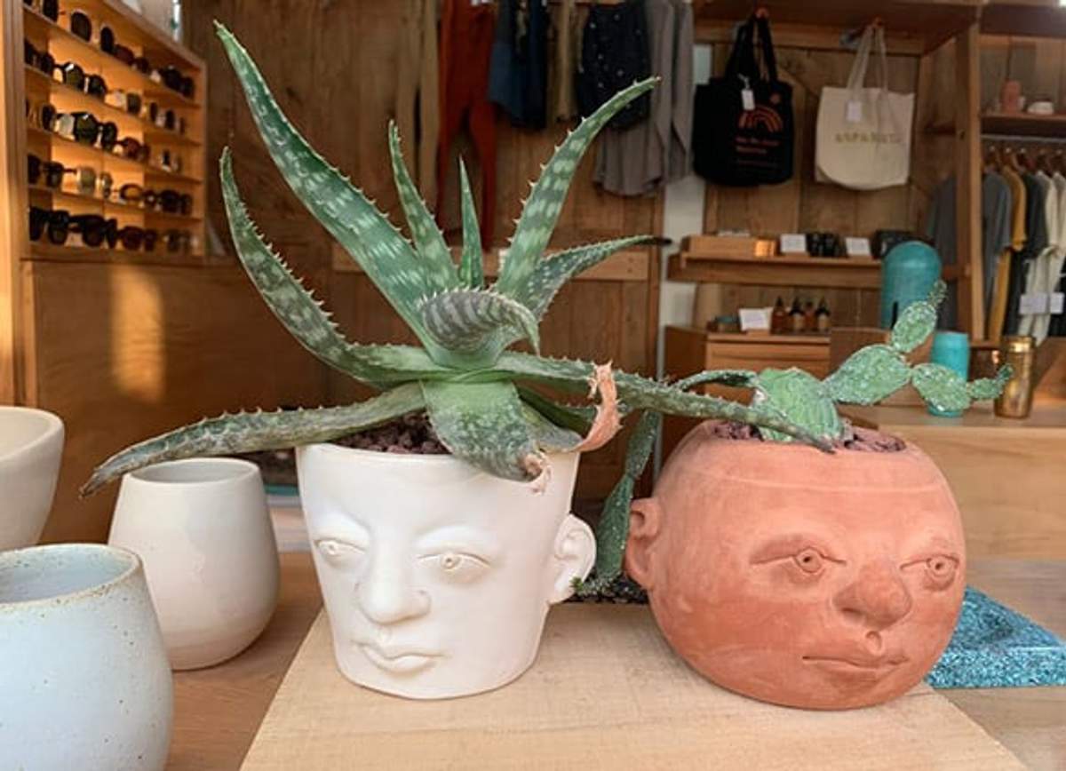 Plantas de aloe y cactus en macetas con forma de rostro sobre una mesa de madera en una tienda boutique.