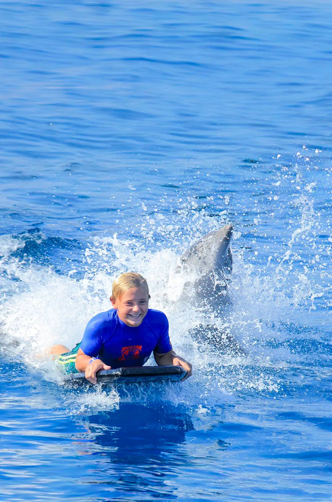 Un niño sobre una tabla de boogie al lado de los delfines.