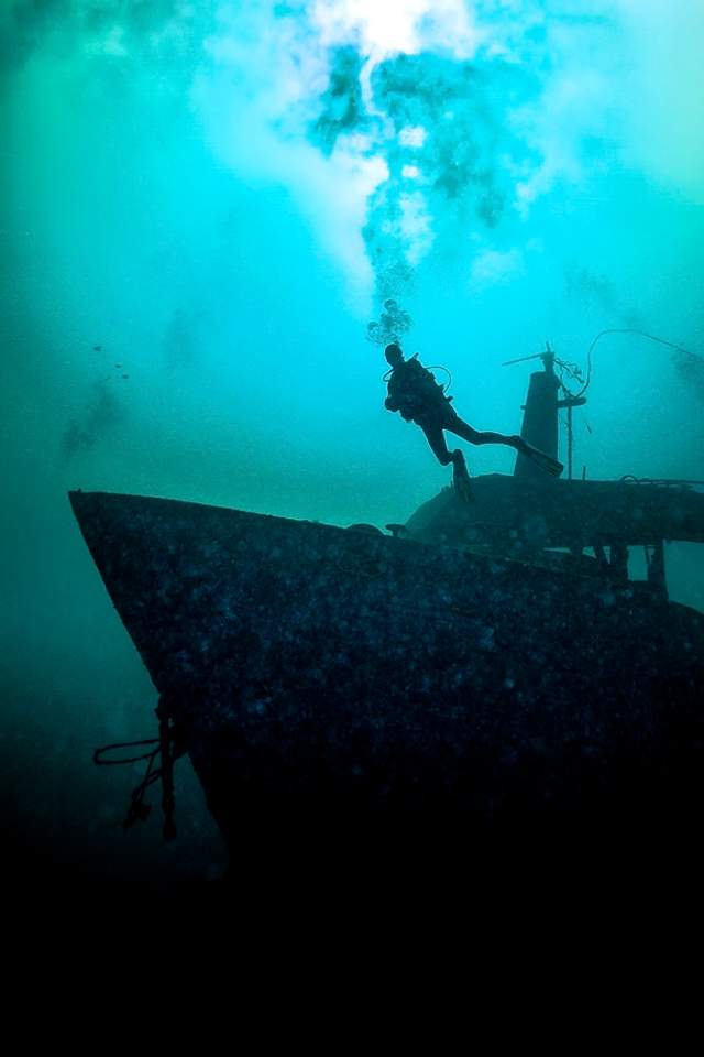 Buceo en un naufragio en Puerto Vallarta.
