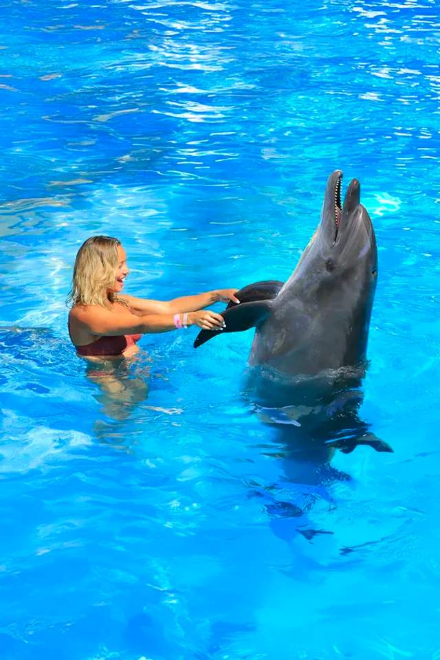 Mujer divirtiéndose con delfines en Puerto Vallarta.