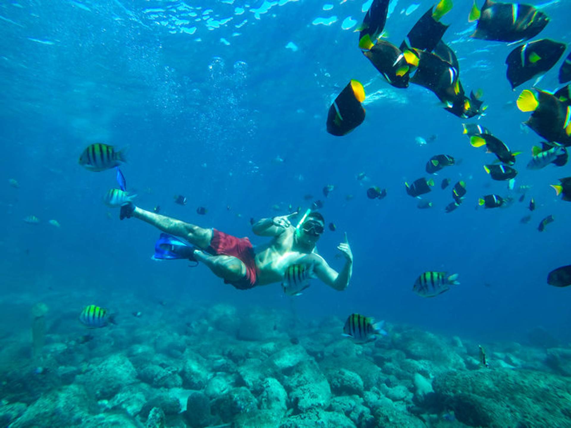 A snorkeler surrounded by colorful tropical fish in the clear waters near Los Arcos, Puerto Vallarta.