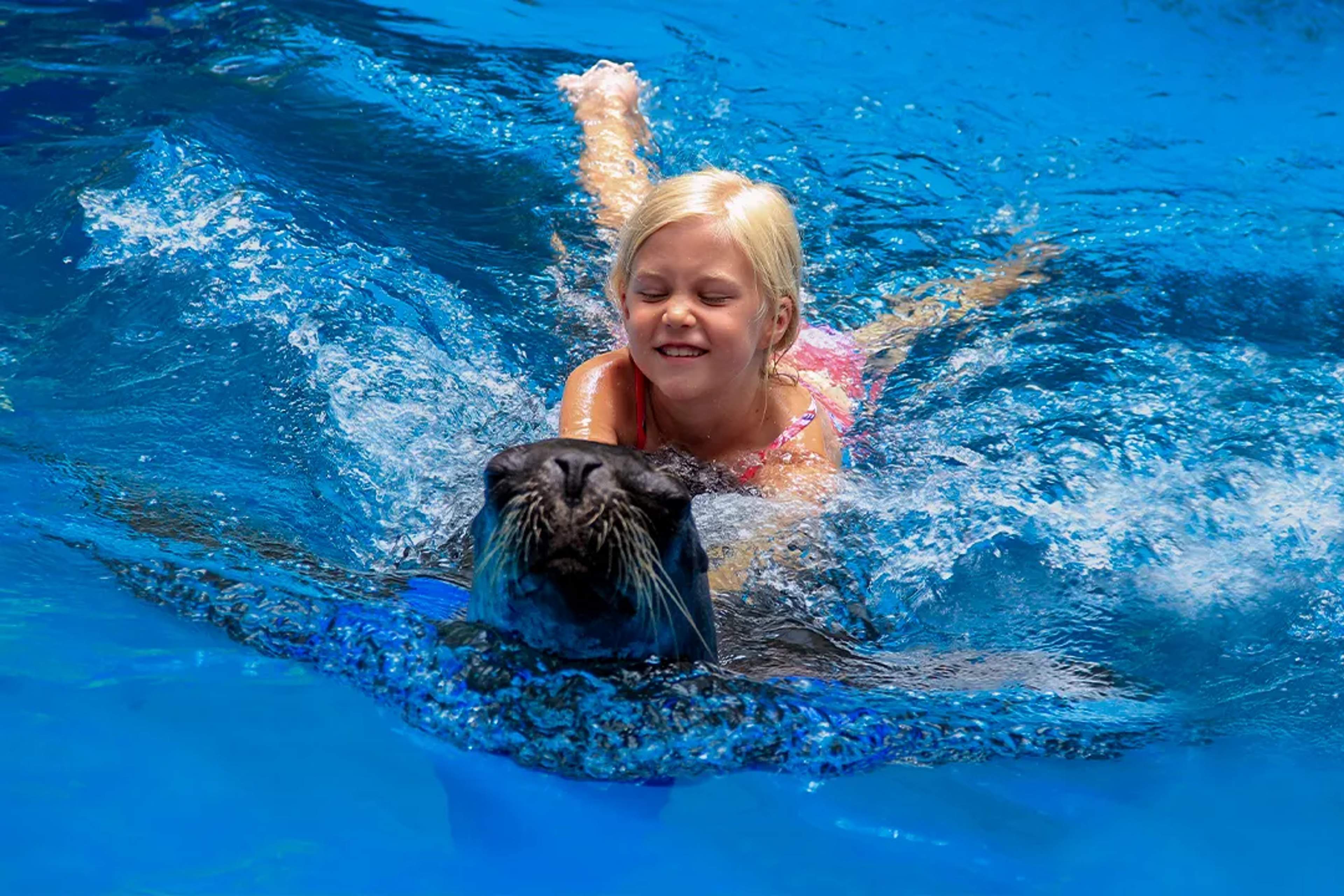 6 INTERESTING SEA LION FACTS FOR KIDS TO LEARN!