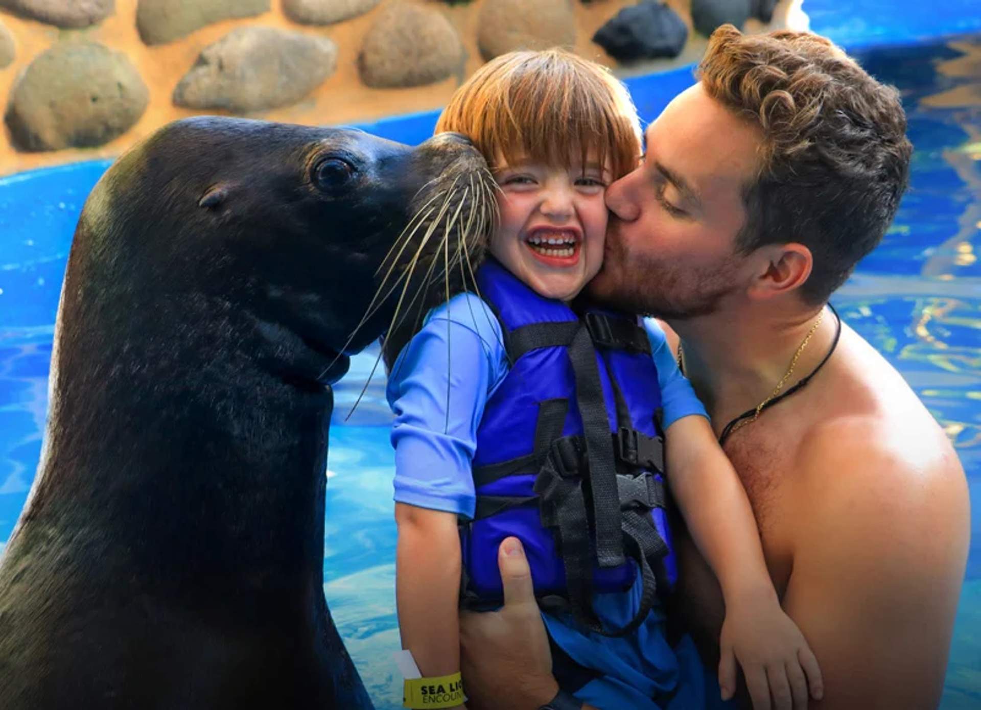 Father kissing toddler with sea lion close by in a pool.