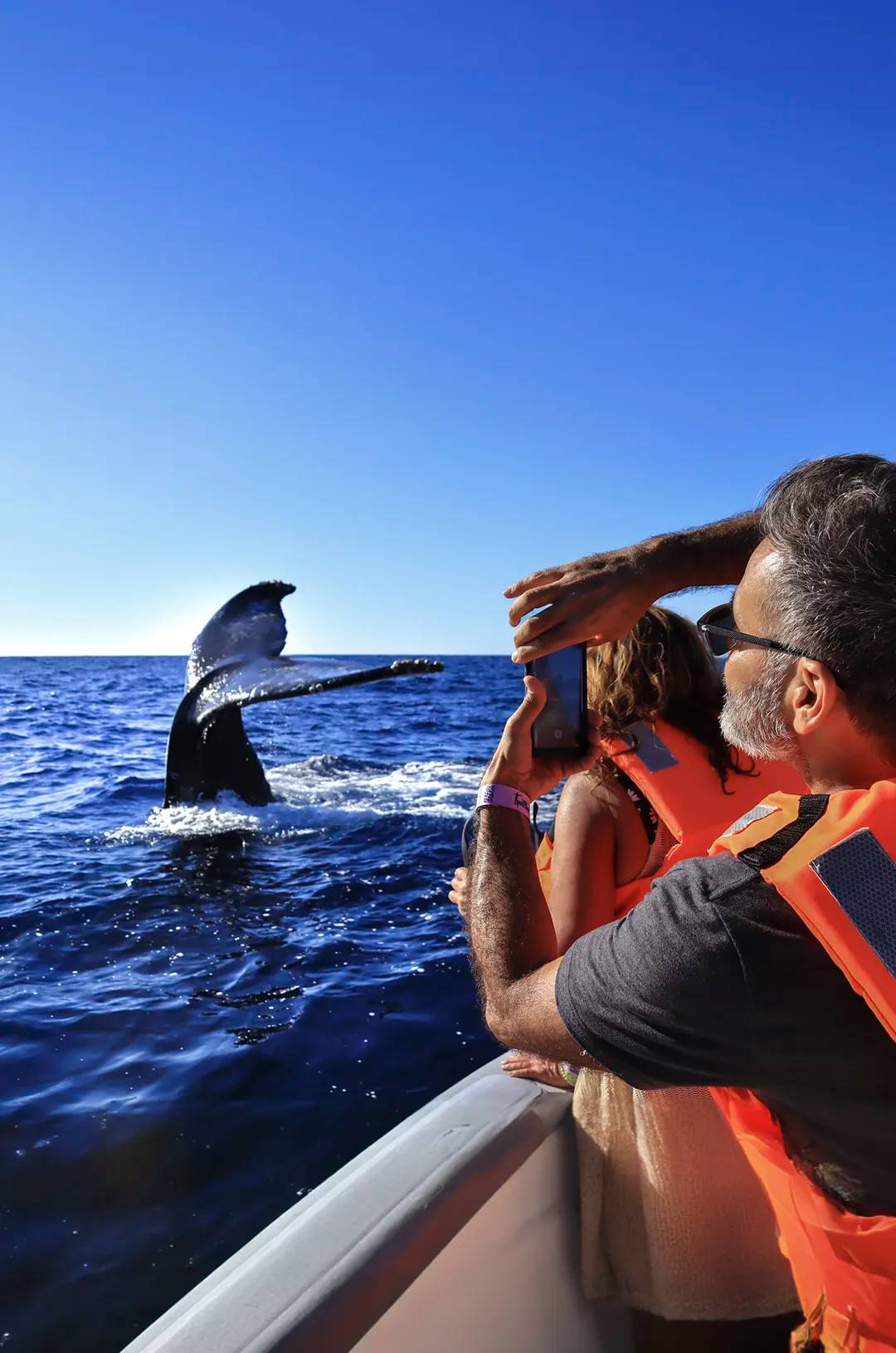 Viajeros tomando fotos desde cerca de una ballena jorobada saltando del agua en Puerto Vallarta.
