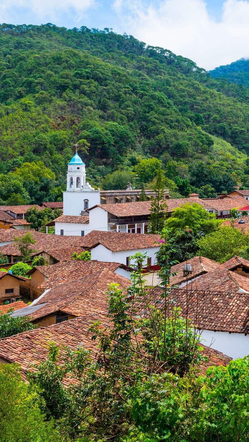 Explore the charm of Puerto Vallarta's villages, with their picturesque rooftops and lush green surroundings.