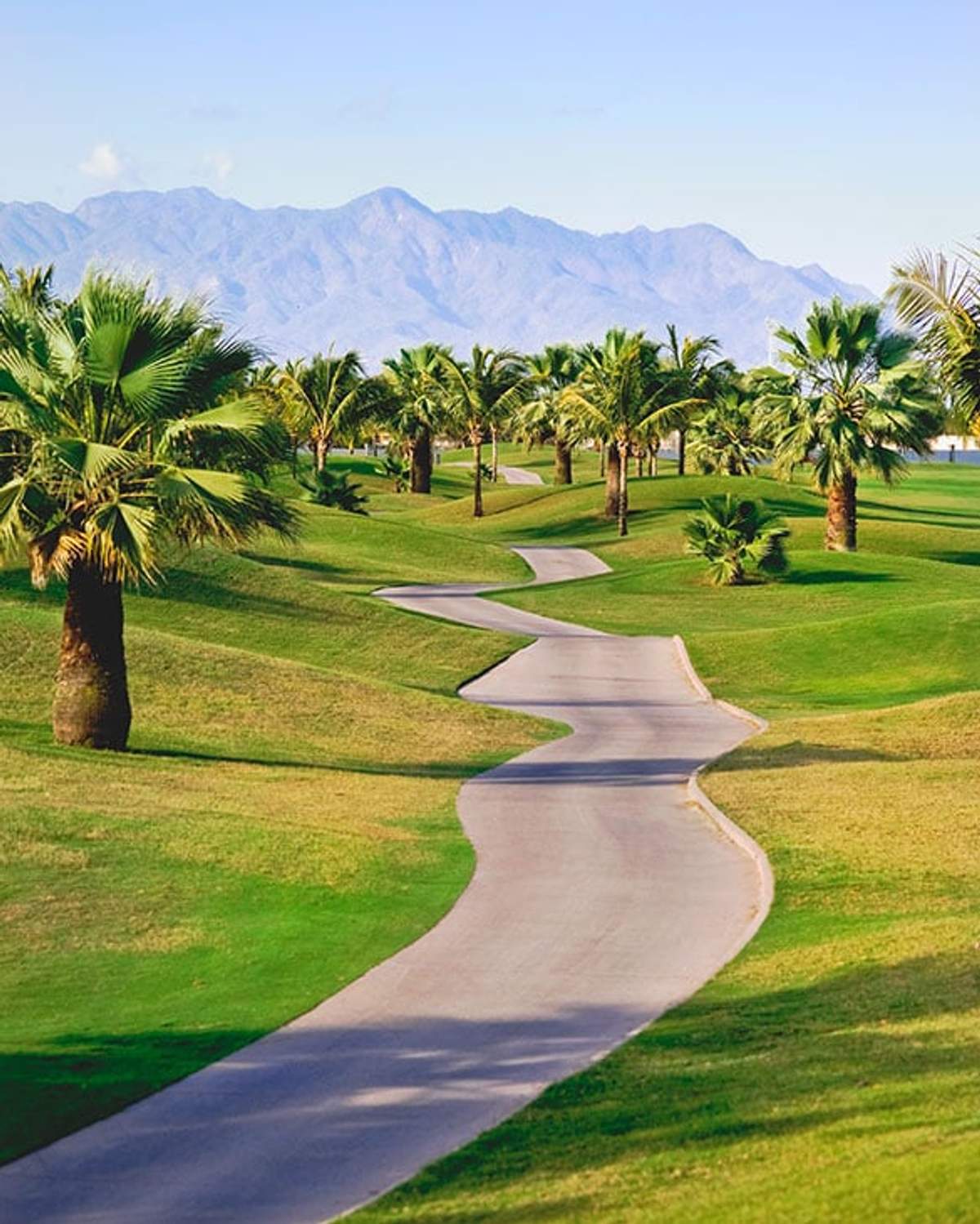 Un camino sinuoso en un campo de golf bordeado de palmeras y calles verdes, con un fondo de montañas distantes.