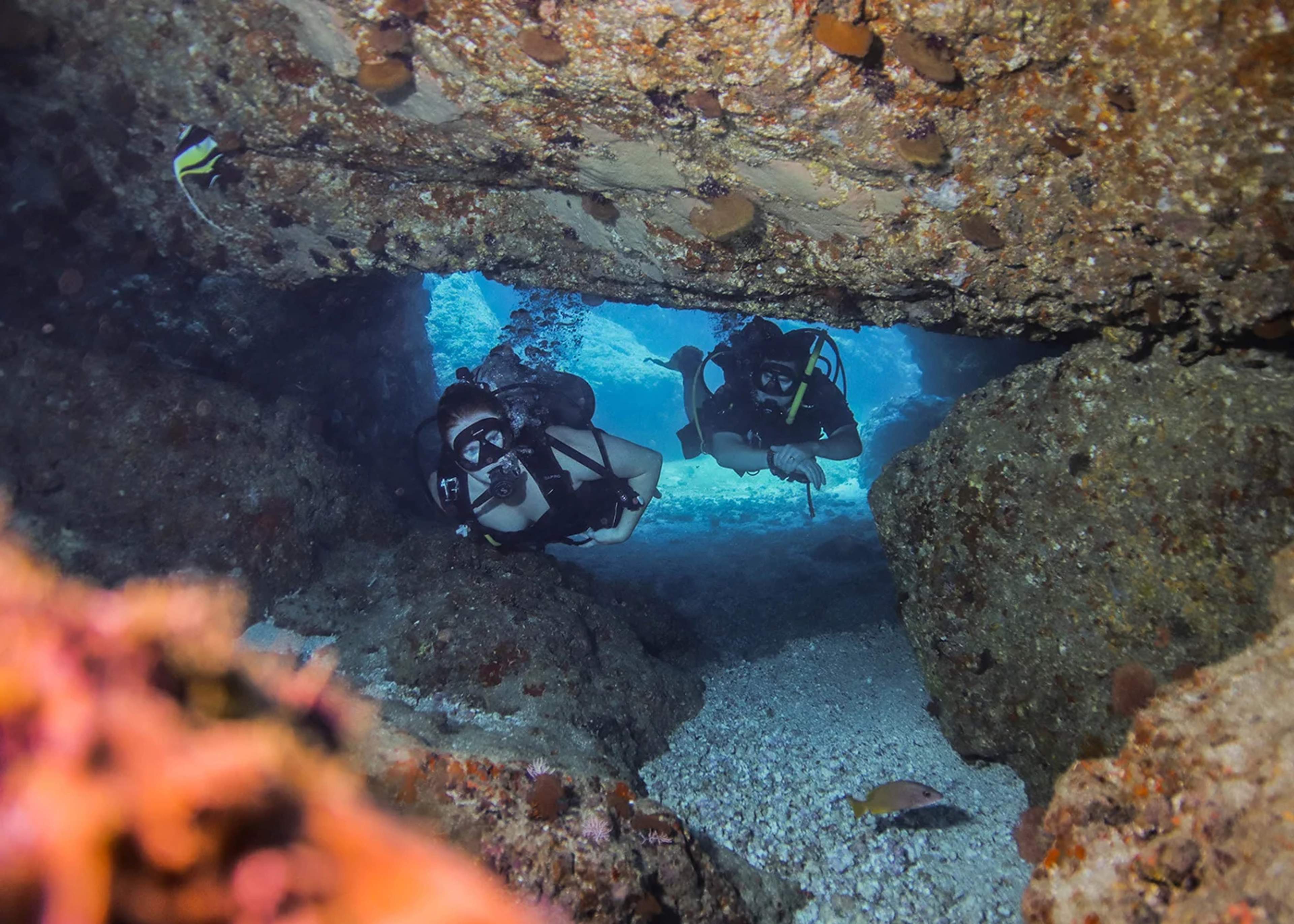 Two scuba divers exploring an underwater cave surrounded by rocks and marine life.