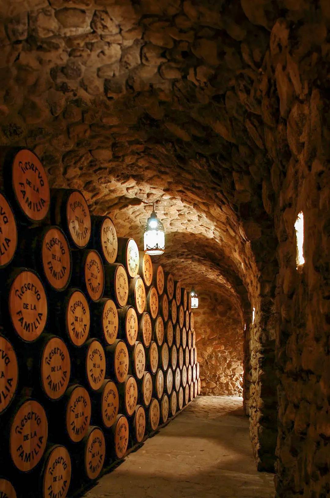 Barrels used in aging tequila at the Jose Cuervo distillery cellar.