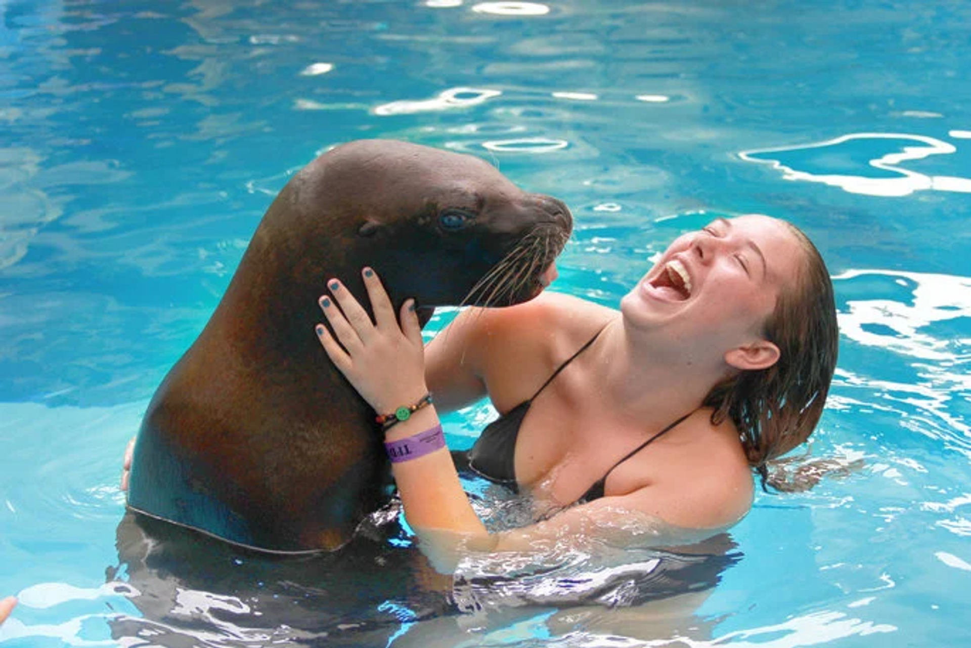 Una mujer riendo y abrazando a un león marino mientras nada en una piscina. El león marino está erguido en el agua, y parecen estar disfrutando de su interacción.