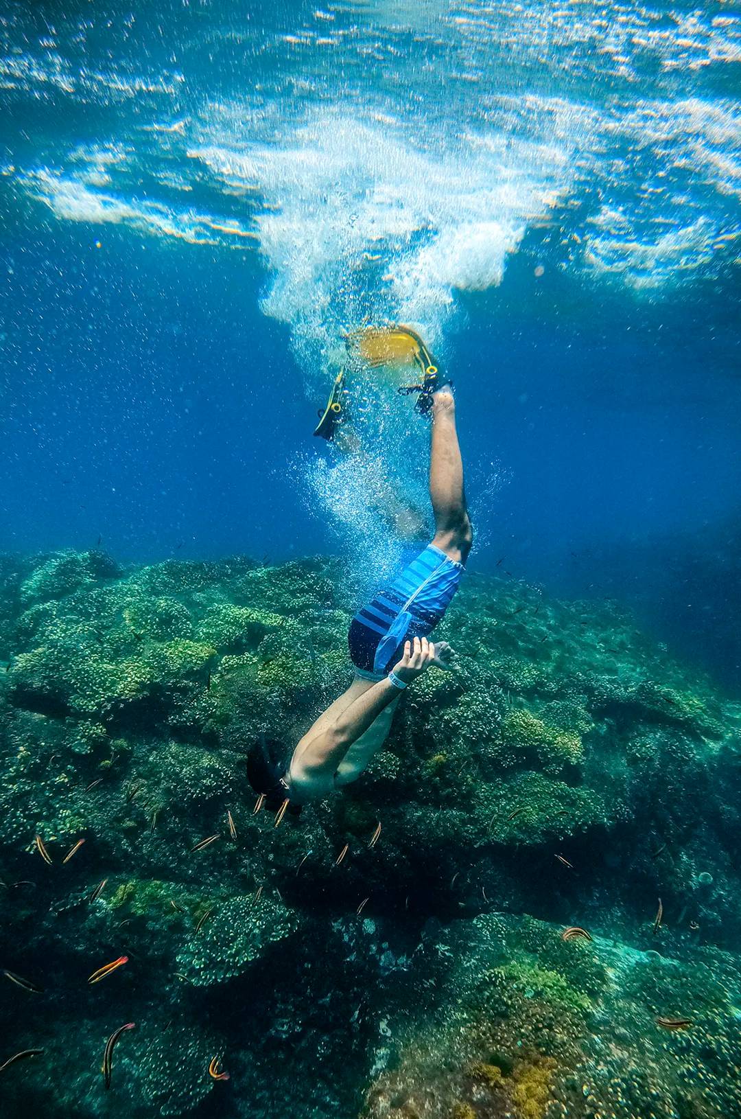 Hombre practicando snorkel en Los Arcos Puerto Vallarta.