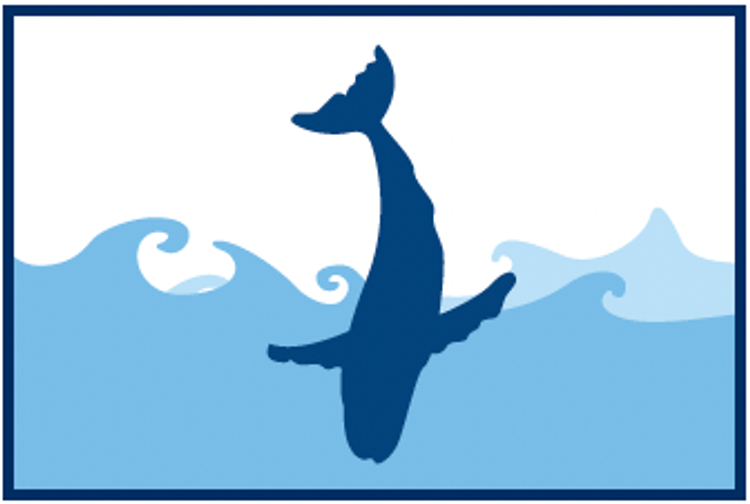 Ilustración de una ballena jorobada realizando un golpe de cola, mostrando su poderoso comportamiento de golpeteo de cola sobre la superficie del océano.