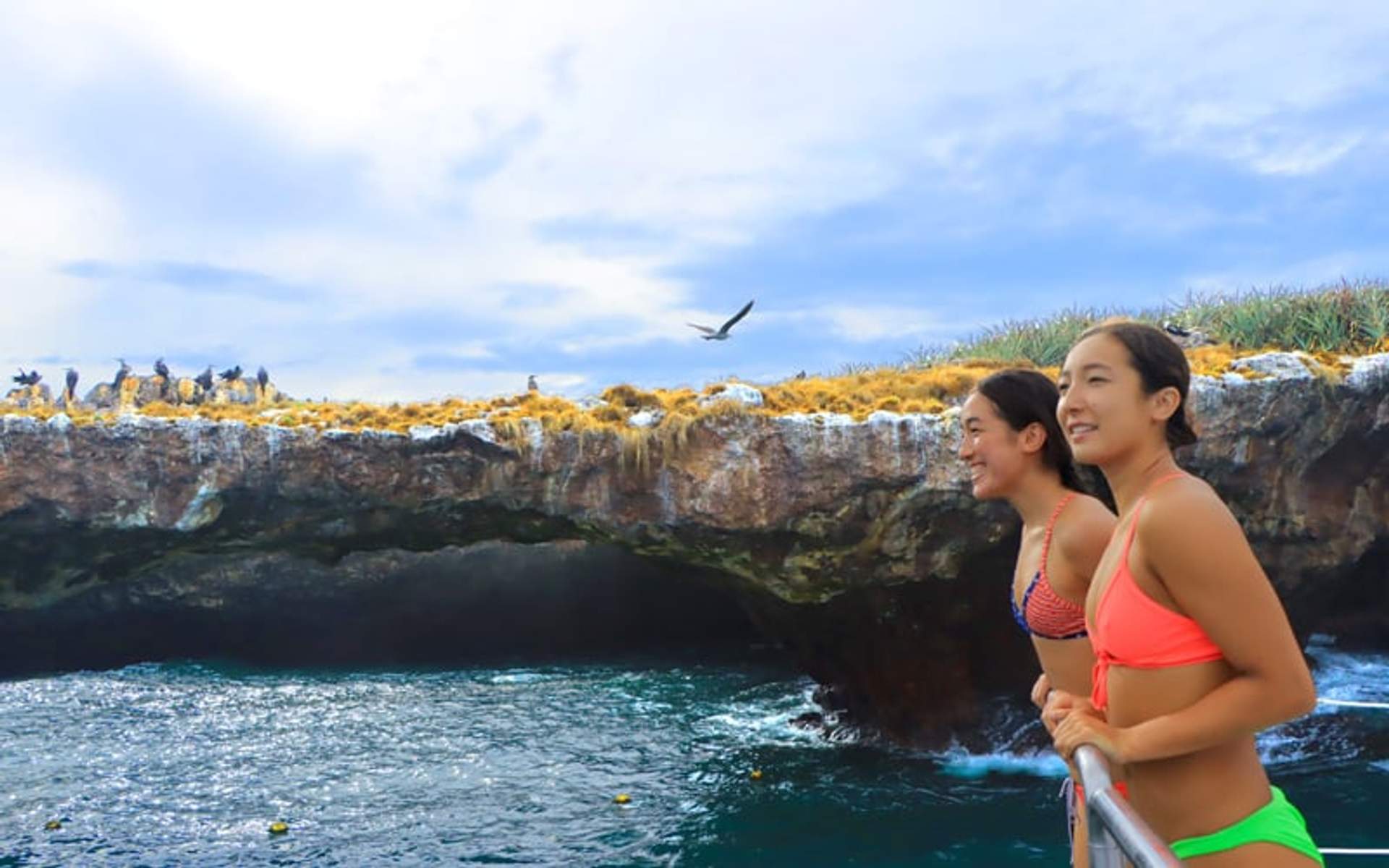 Two women in swimwear admiring seabirds on a coastal cliff from a boat.