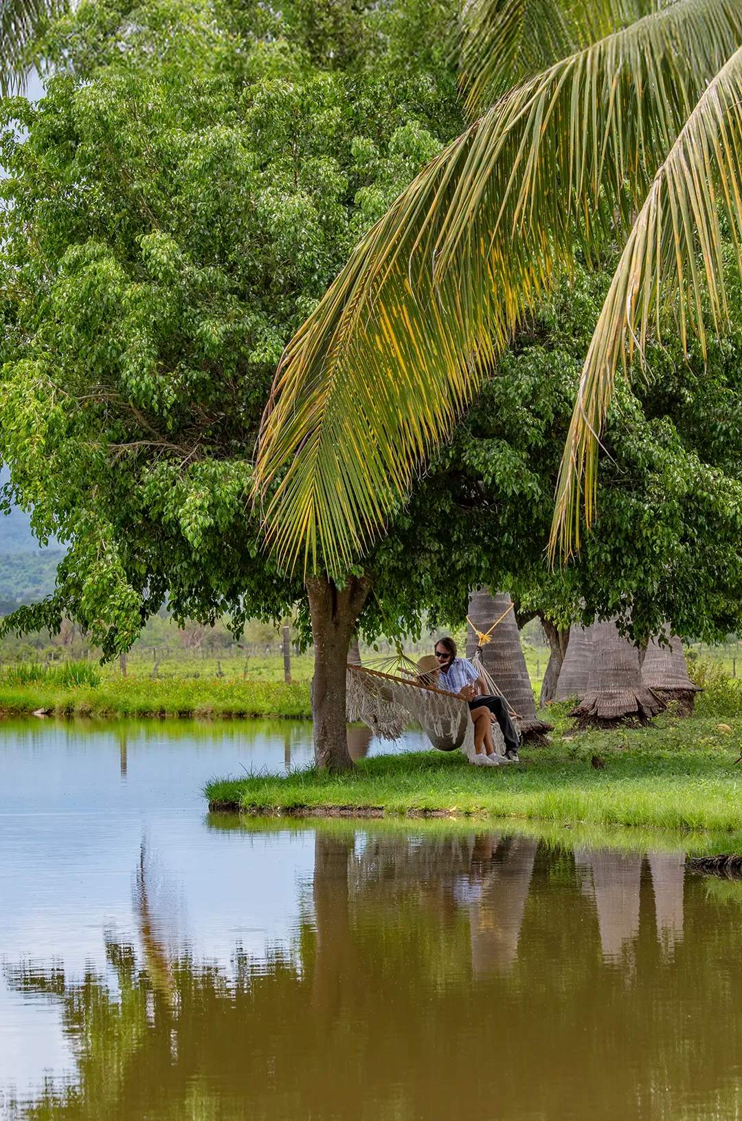 Couple relaxing on a hammock under the shade of lush trees.