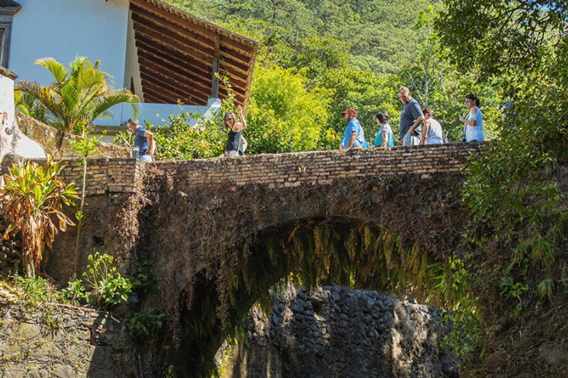Un grupo de personas camina por un puente de piedra en San Sebastián del Oeste, rodeado de vegetación exuberante y un edificio rústico al fondo.