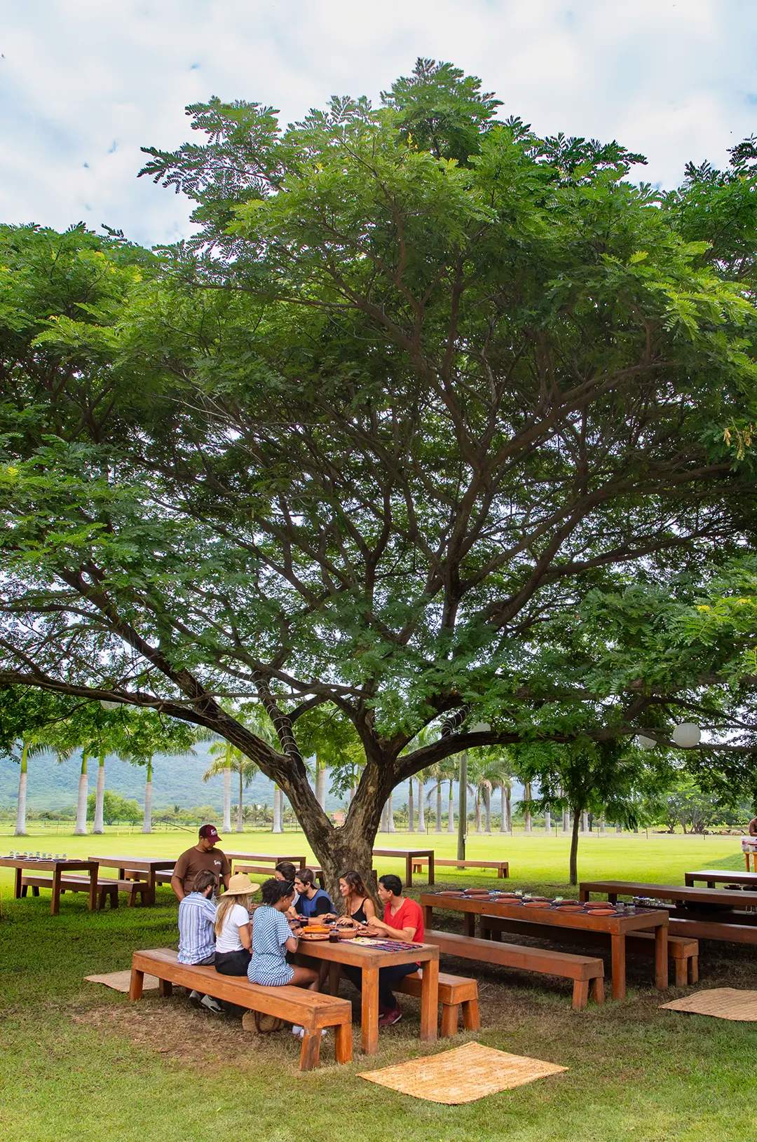 Group dining under the shade of a lush tree near Puerto Vallarta as part of the Pueblos walking tour.