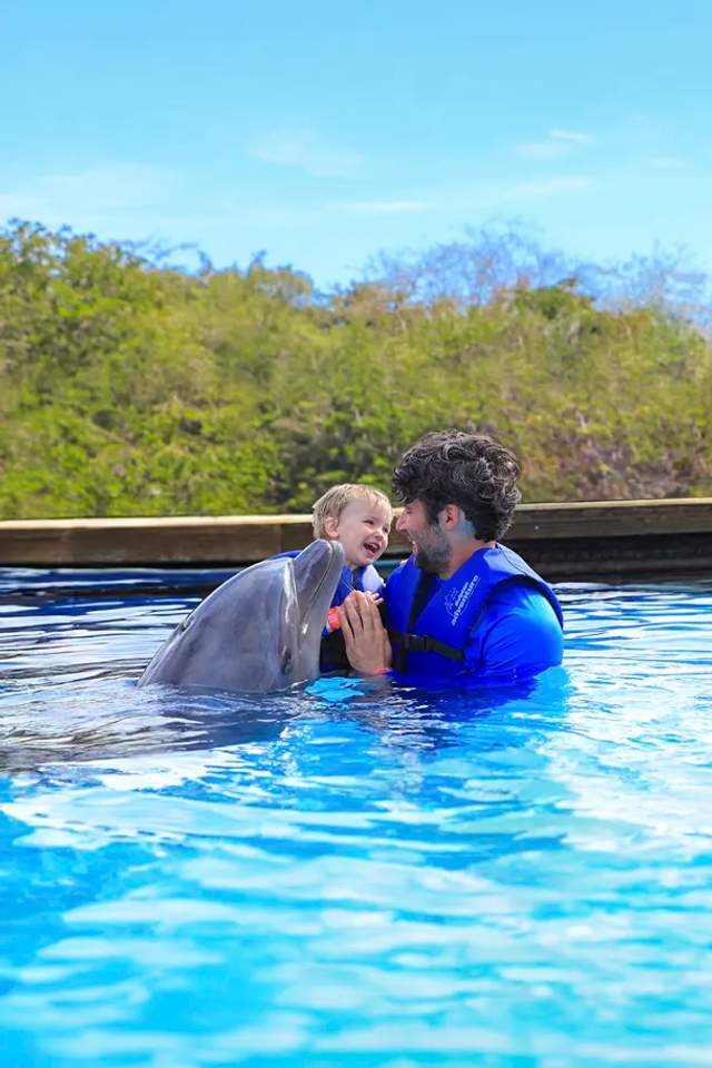 Tiernos momentos de un Encuentro con Delfines en Puerto Vallarta, ideal para familias con niños pequeños.