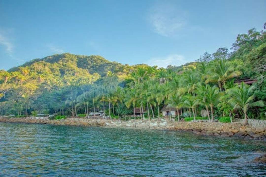 Scenic view of Las Caletas beach with lush greenery, palm trees, and calm waters in Puerto Vallarta, Mexico.